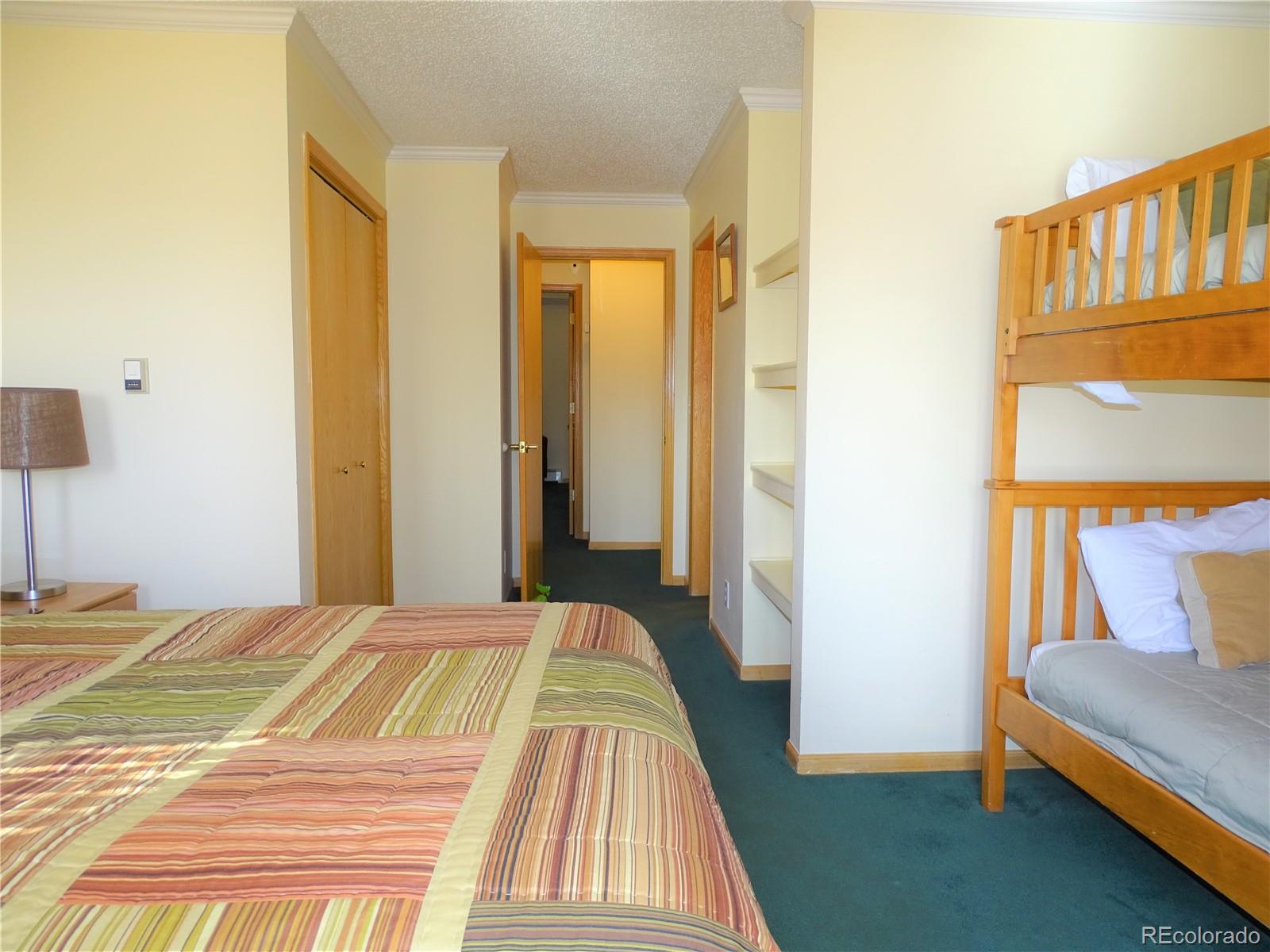 MLS Image #25 for 319  saddle ridge drive,silverthorne, Colorado