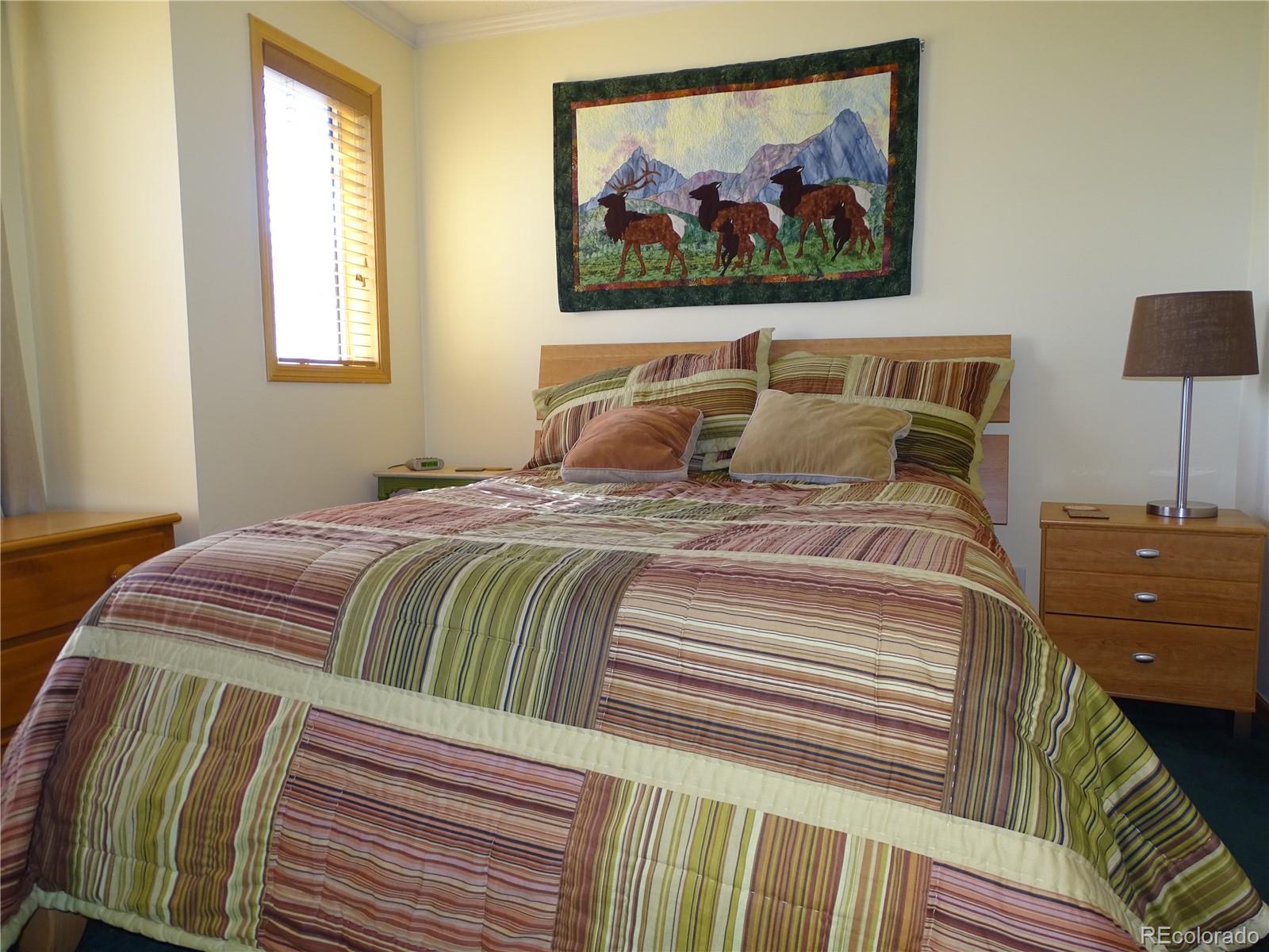 MLS Image #26 for 319  saddle ridge drive,silverthorne, Colorado