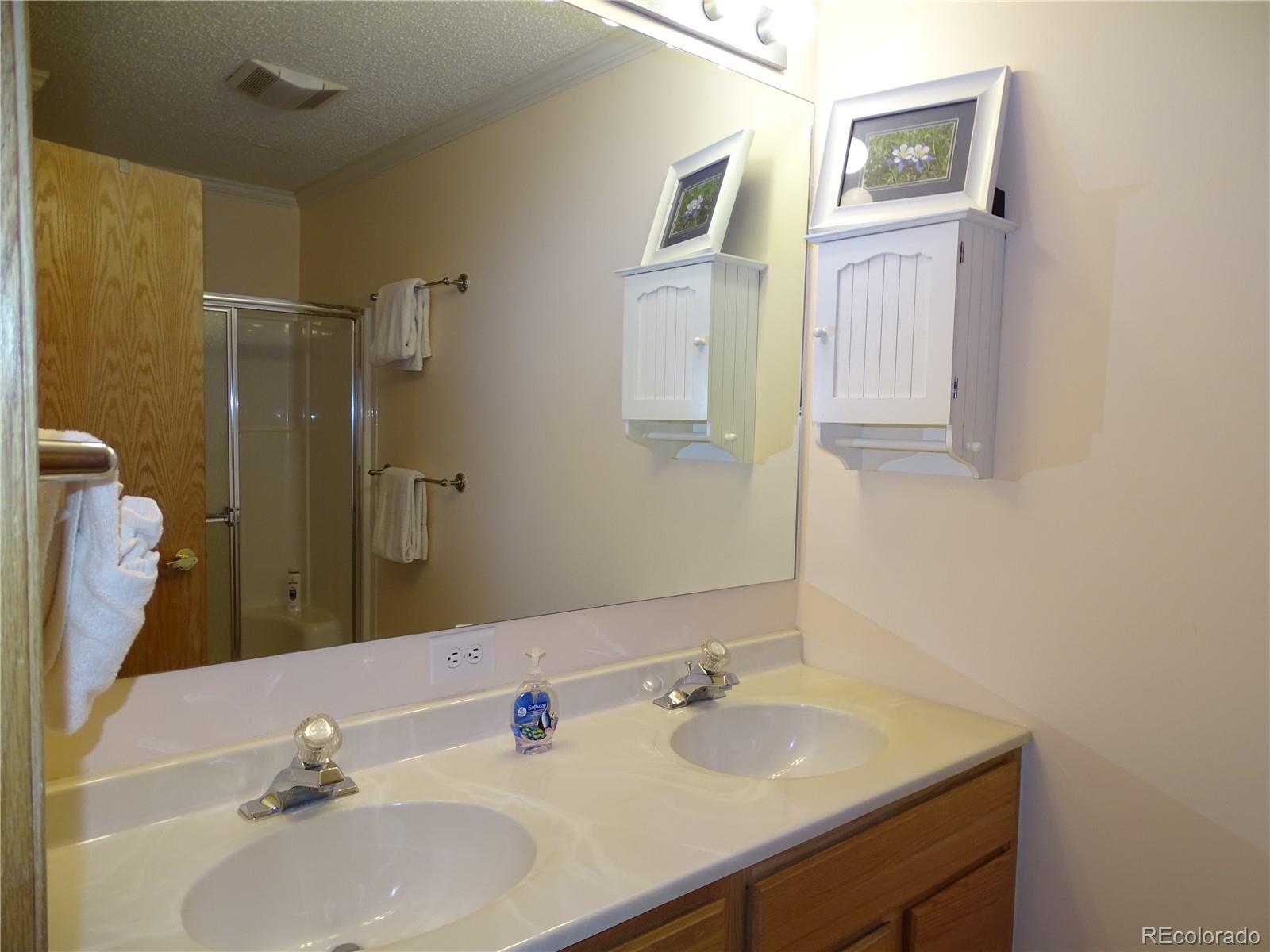 MLS Image #29 for 319  saddle ridge drive,silverthorne, Colorado