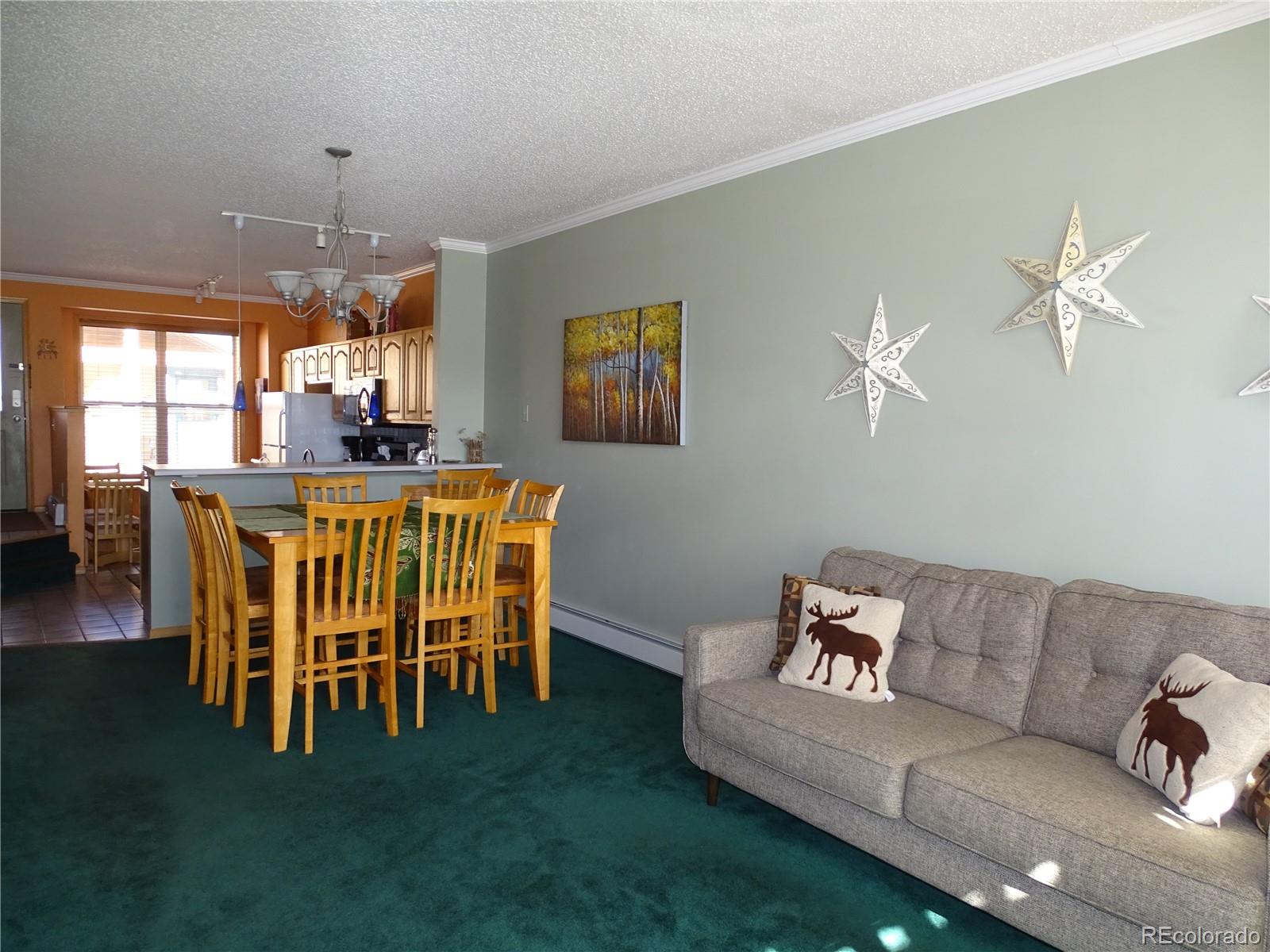 MLS Image #8 for 319  saddle ridge drive,silverthorne, Colorado