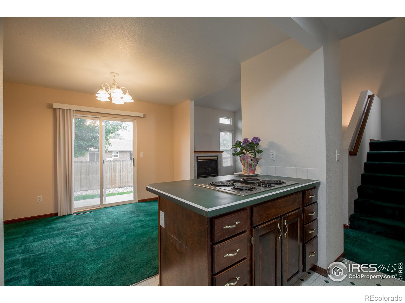 MLS Image #10 for 723  2nd street,windsor, Colorado