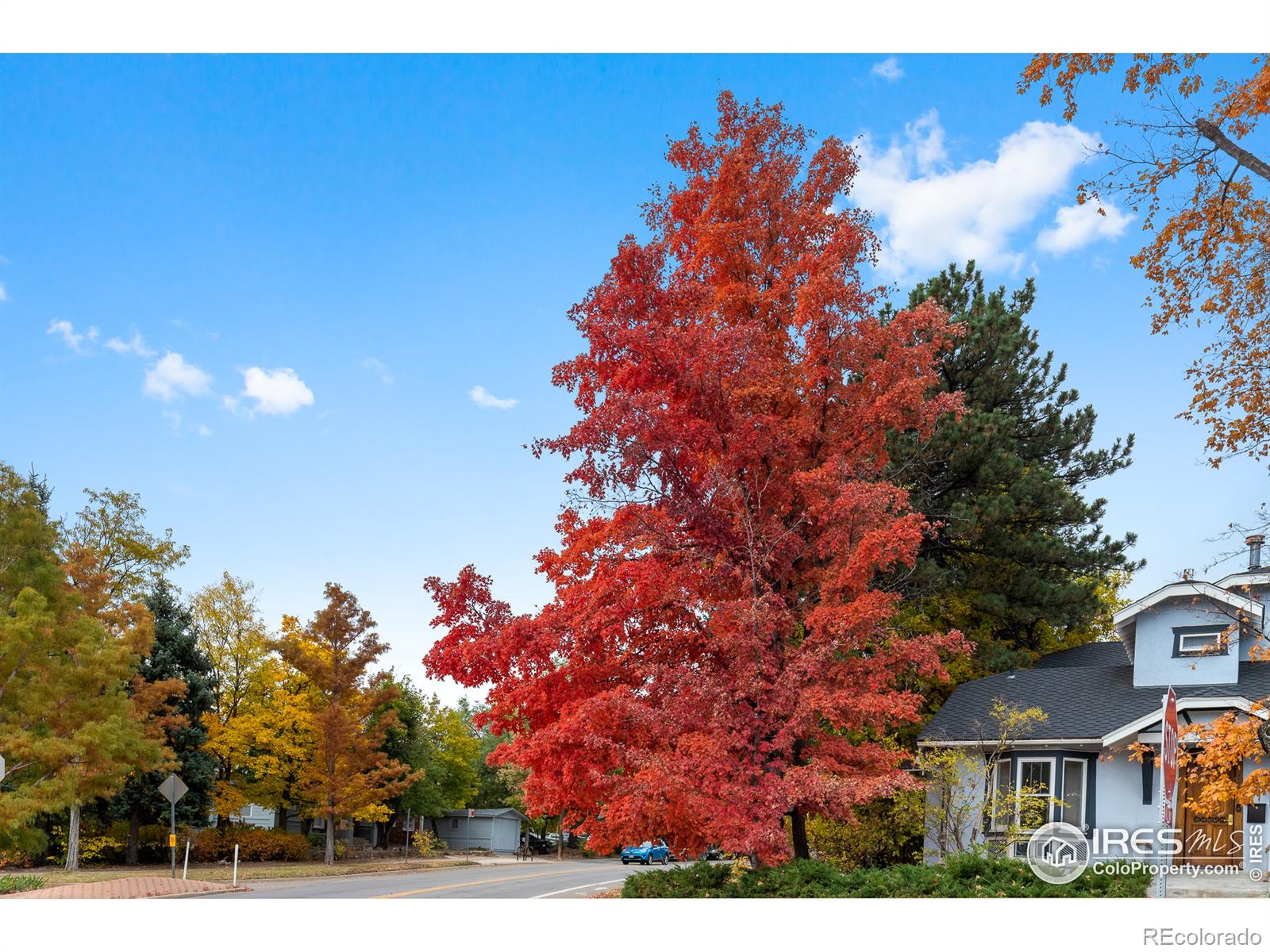 MLS Image #28 for 812  university avenue,boulder, Colorado