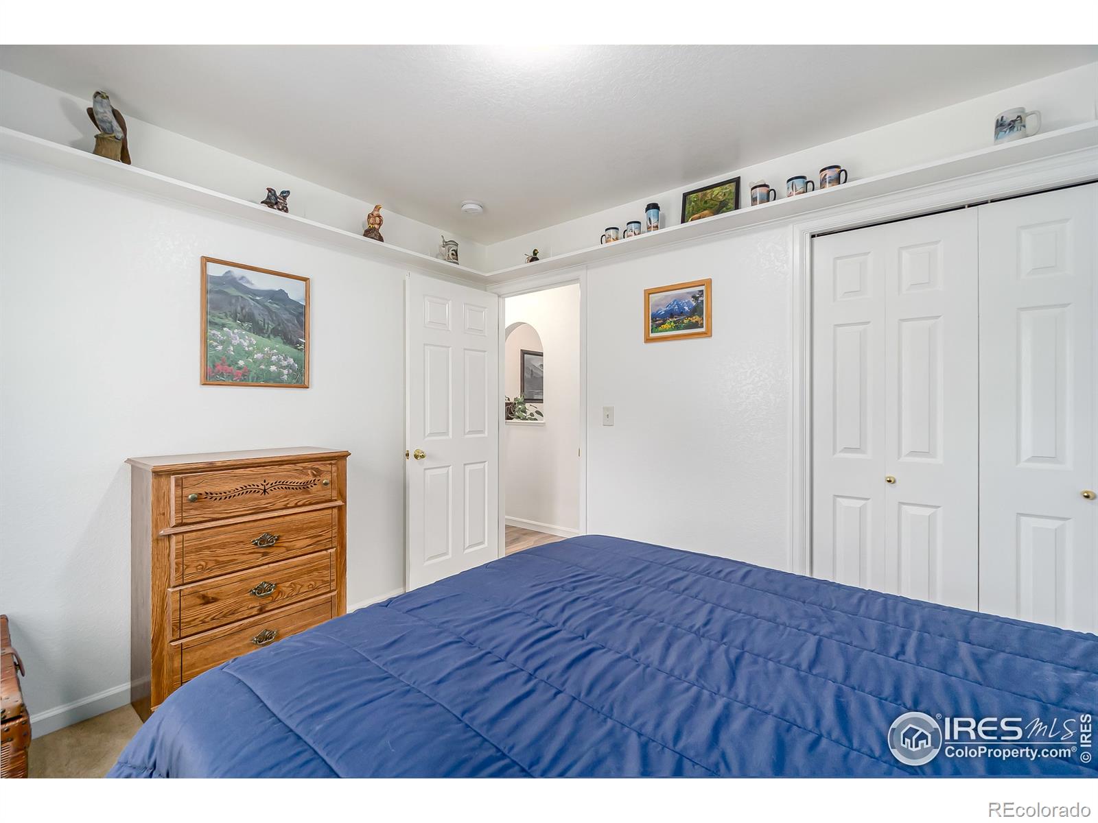 MLS Image #19 for 202  buckeye avenue,eaton, Colorado