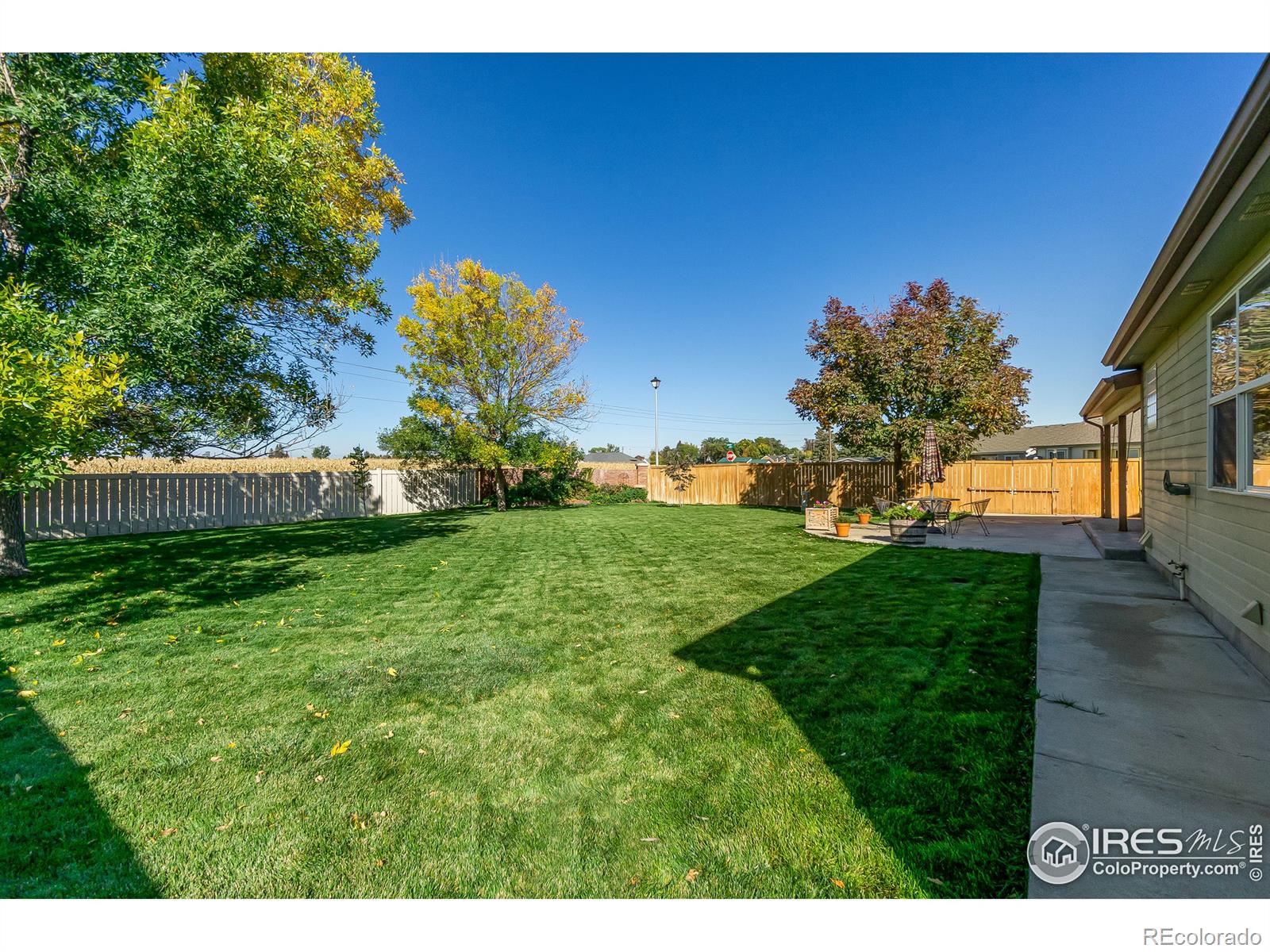 MLS Image #37 for 202  buckeye avenue,eaton, Colorado