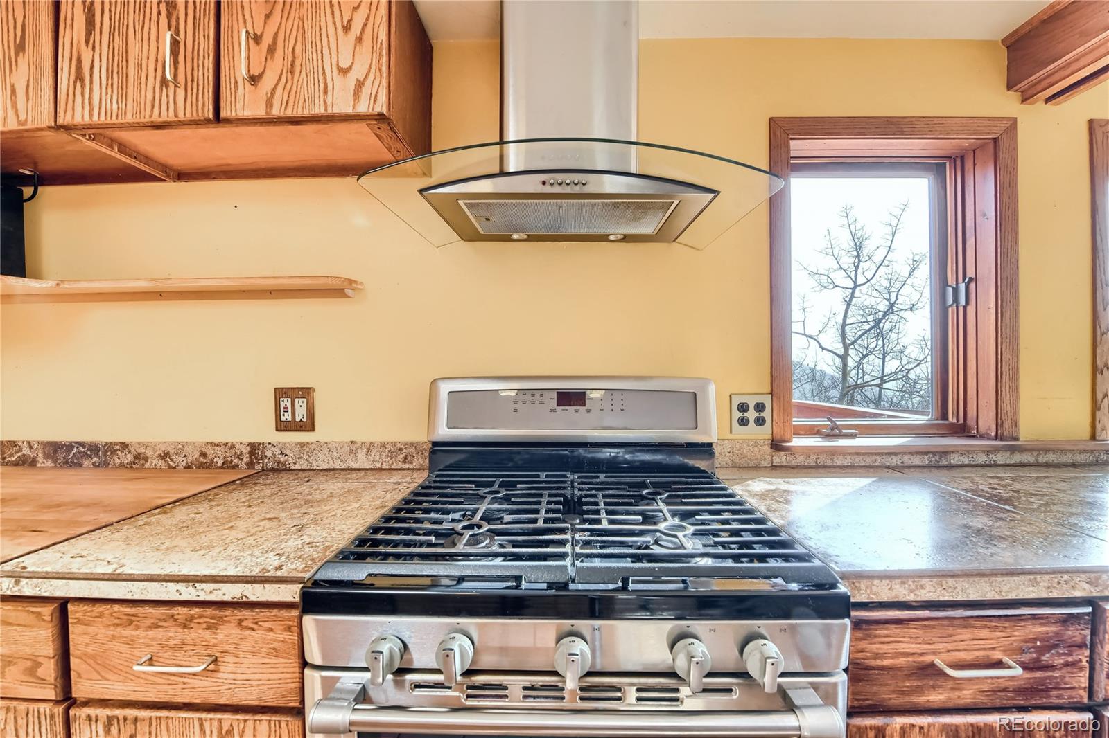 MLS Image #12 for 24  nelson street,ward, Colorado