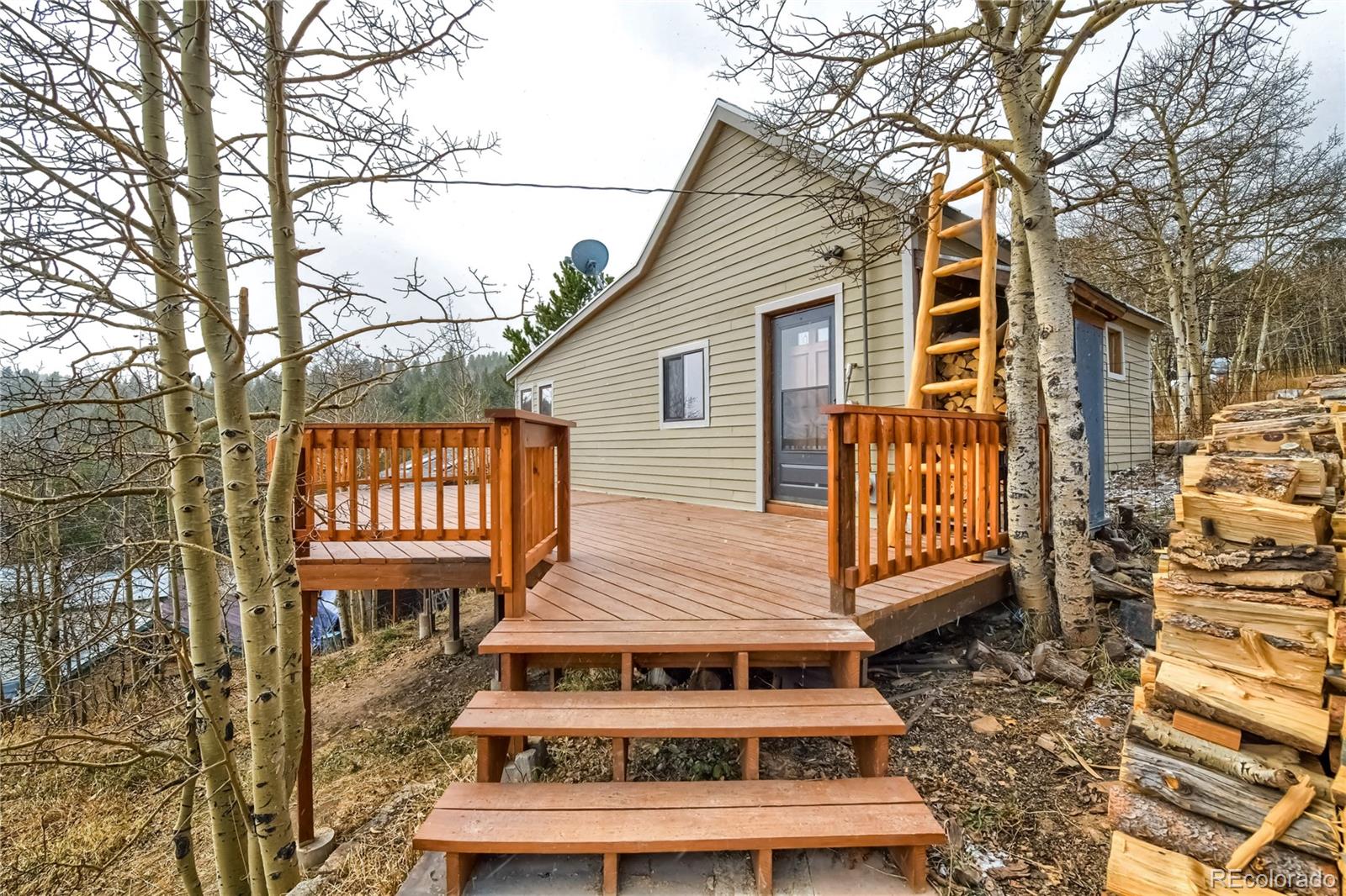 MLS Image #3 for 24  nelson street,ward, Colorado