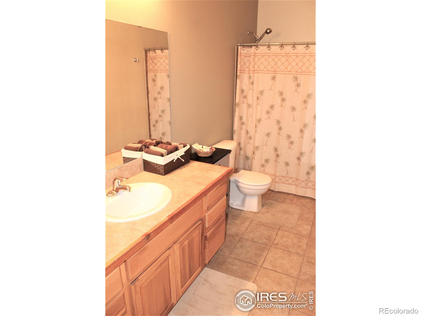 MLS Image #21 for 227  thorn circle,black hawk, Colorado