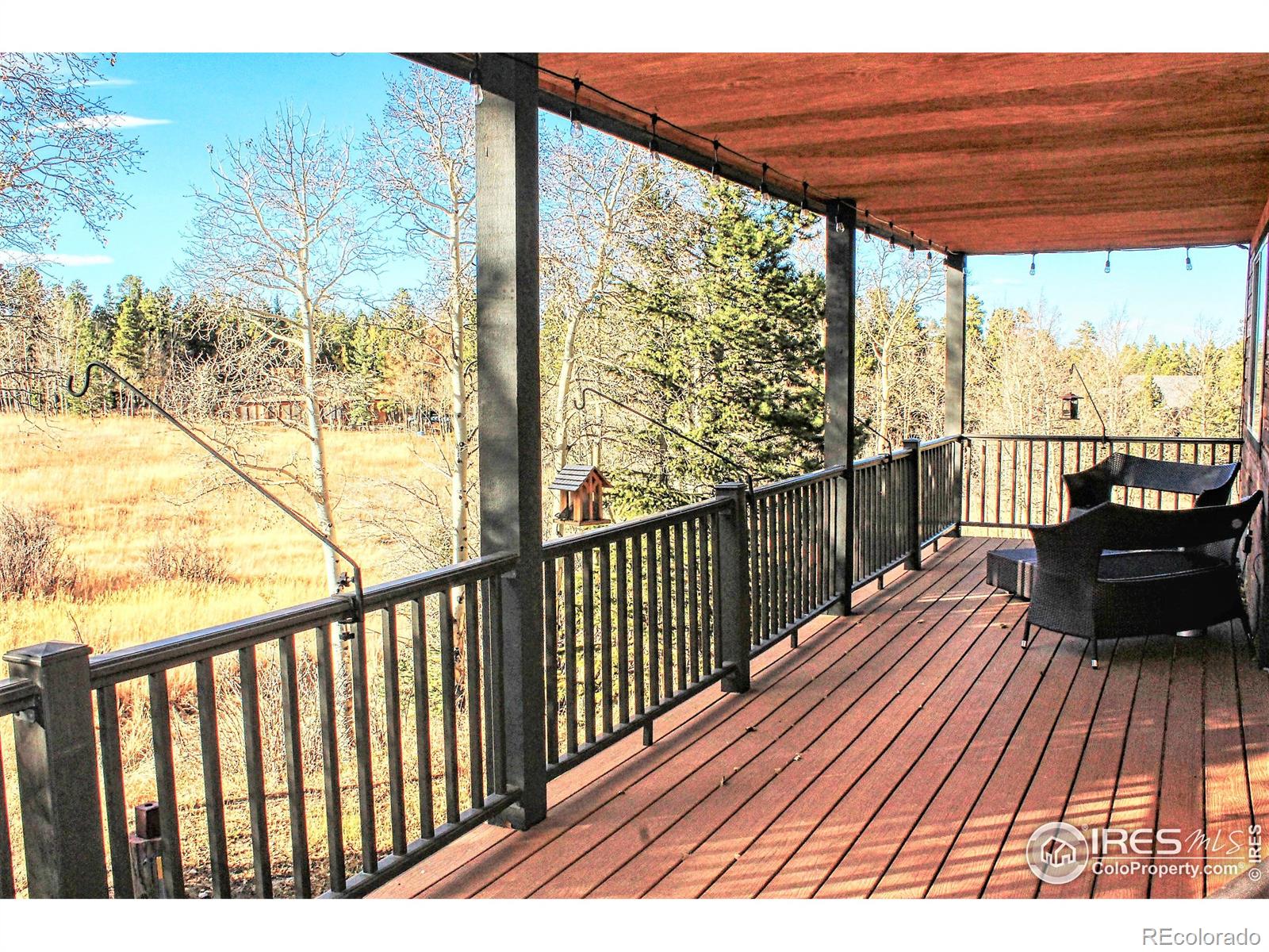 MLS Image #24 for 227  thorn circle,black hawk, Colorado