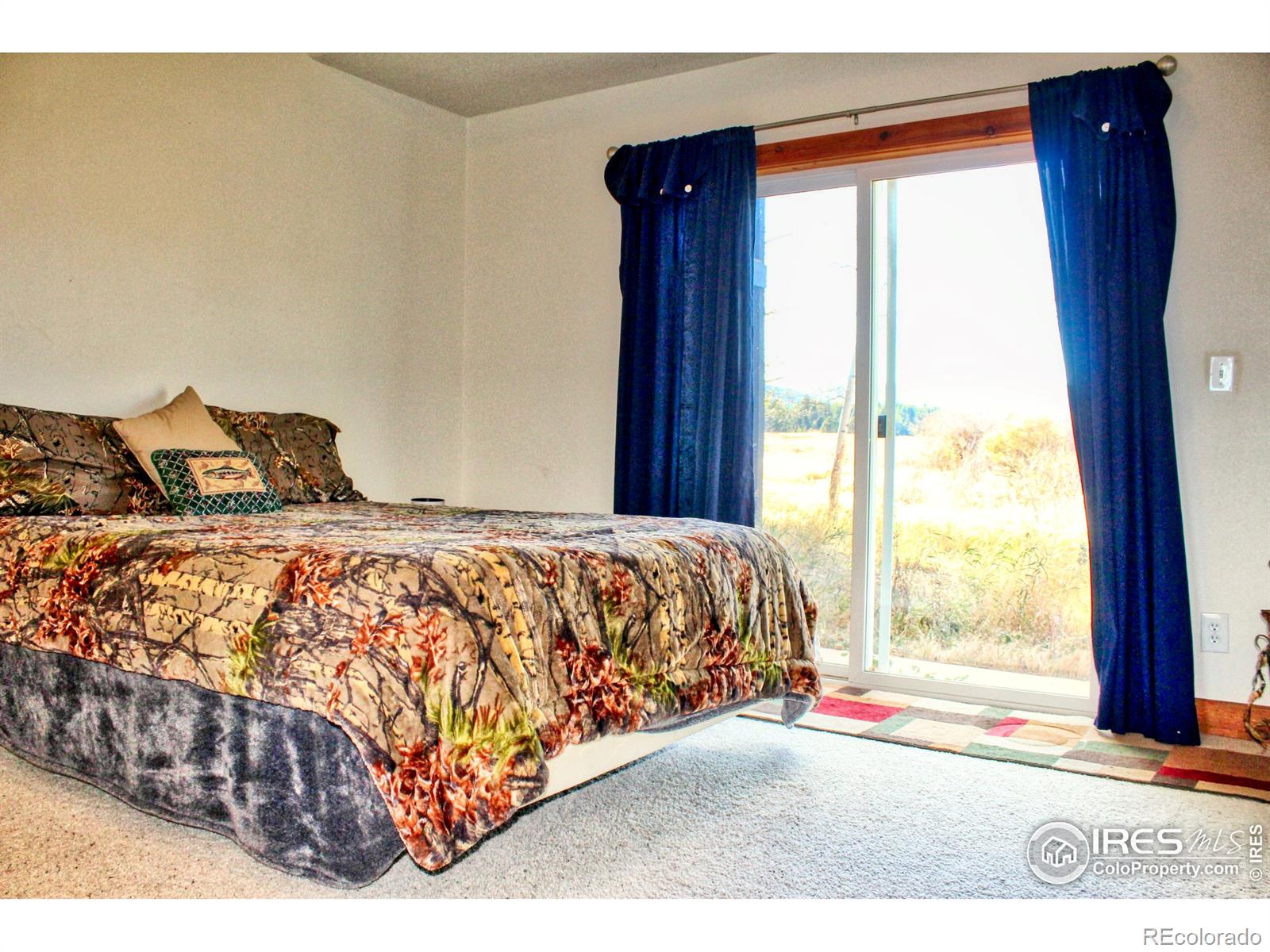 MLS Image #26 for 227  thorn circle,black hawk, Colorado