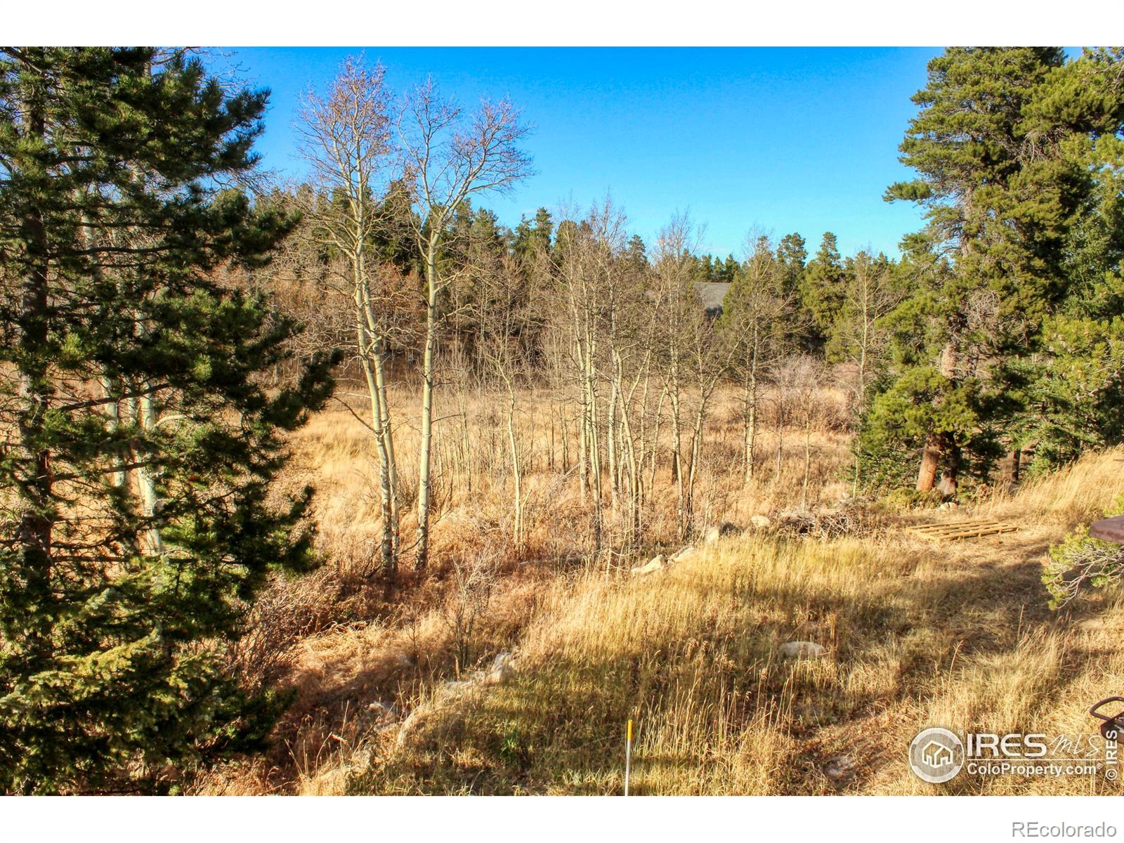 MLS Image #33 for 227  thorn circle,black hawk, Colorado