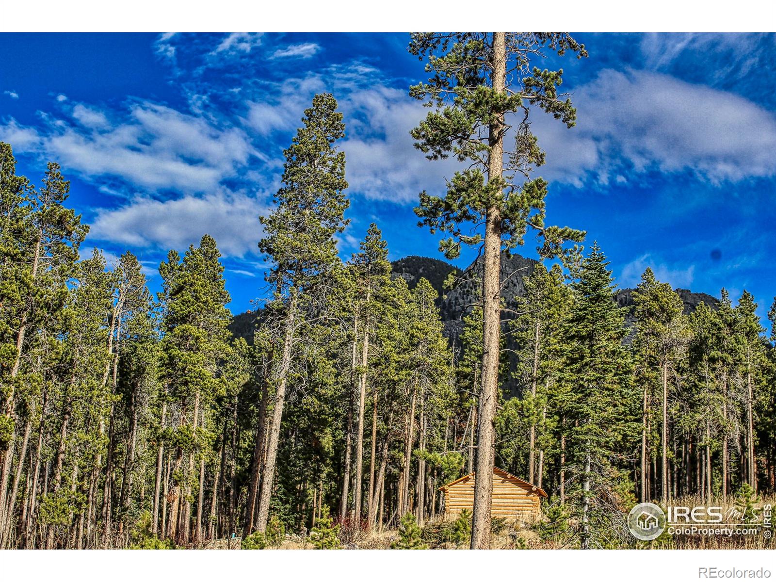 MLS Image #34 for 227  thorn circle,black hawk, Colorado