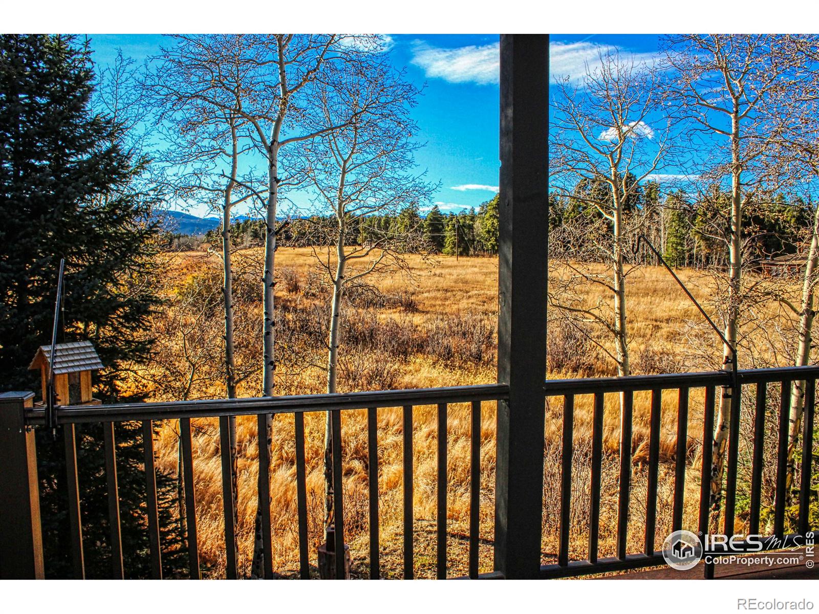 MLS Image #38 for 227  thorn circle,black hawk, Colorado
