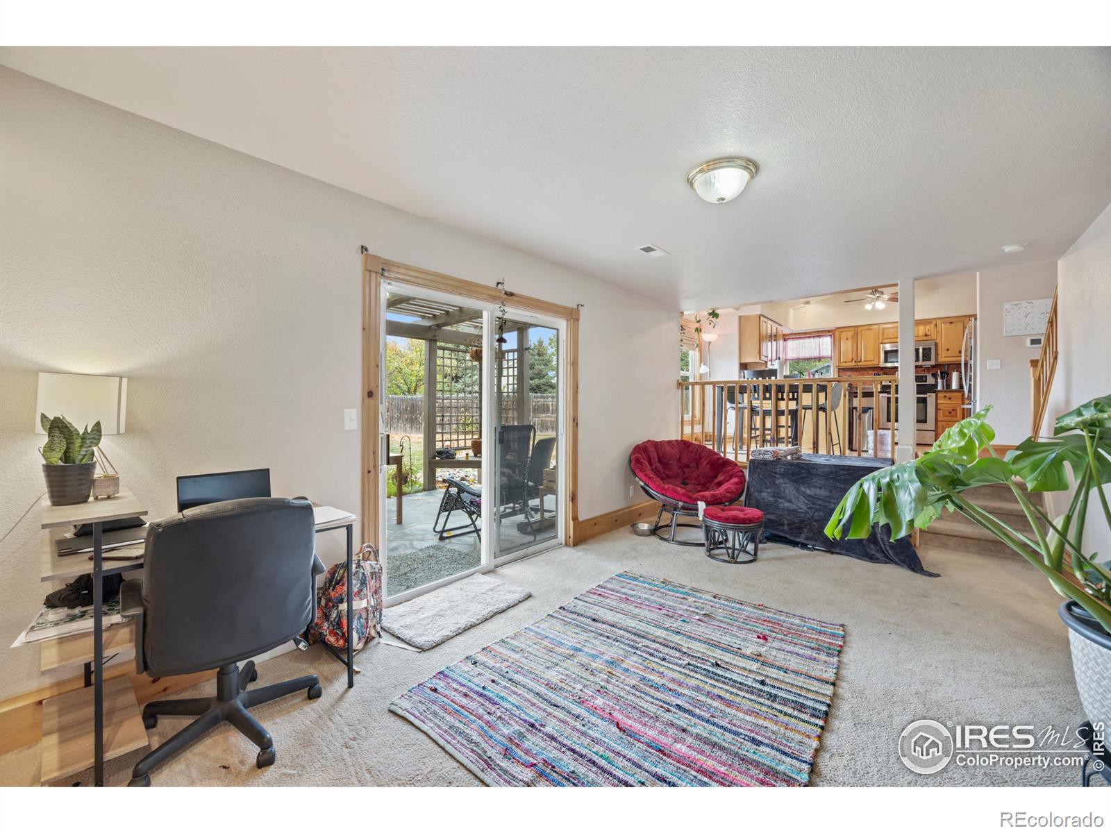 MLS Image #8 for 1102  valley place,windsor, Colorado