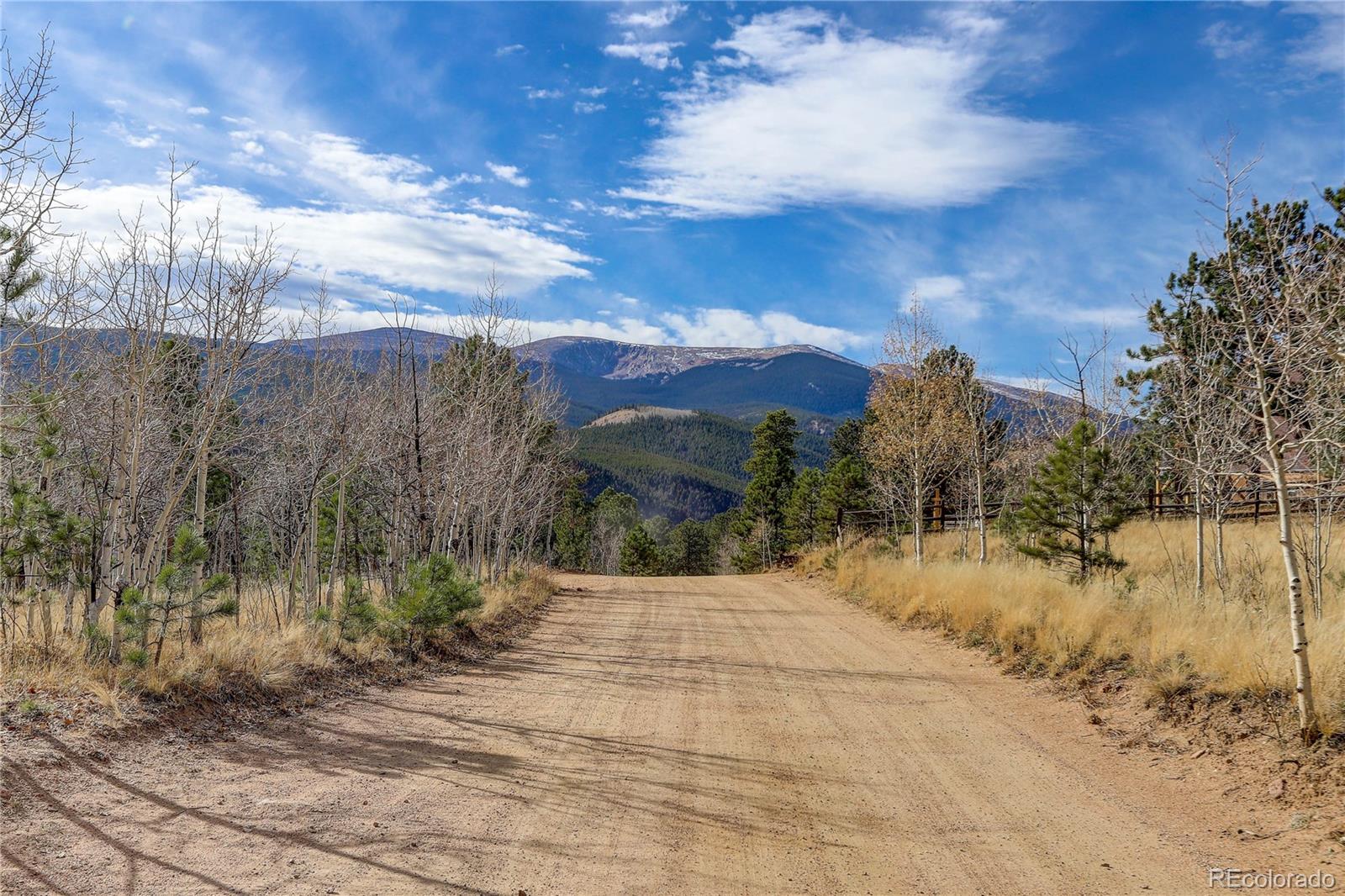 MLS Image #1 for 10  charmatella drive,bailey, Colorado