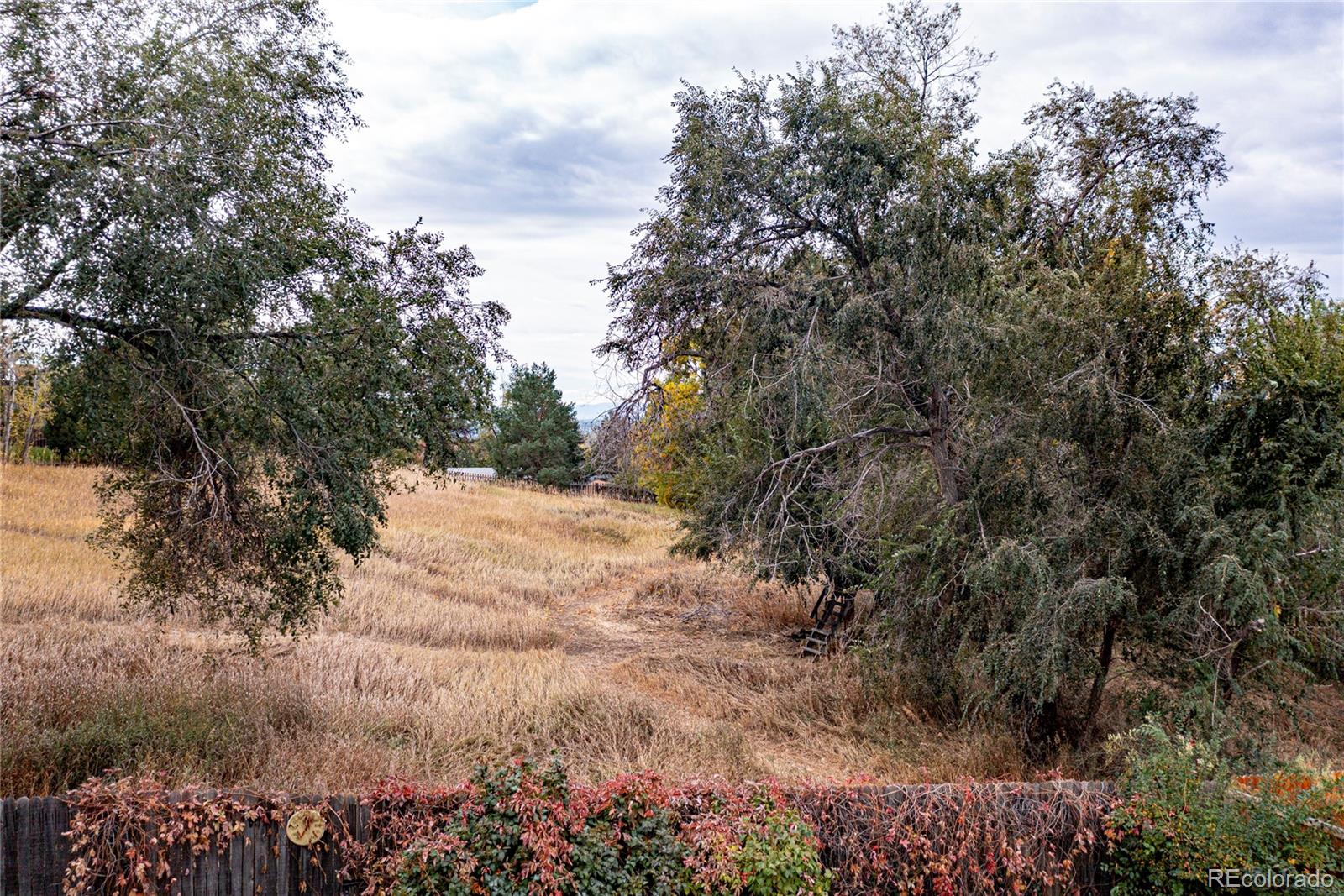 MLS Image #32 for 8516 w 66th place,arvada, Colorado