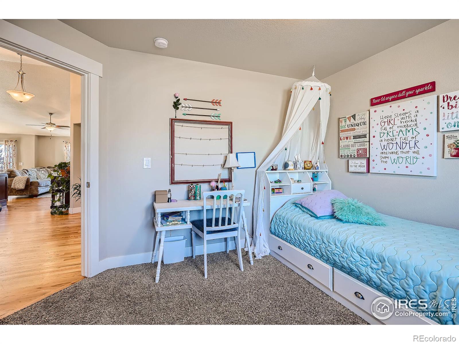 MLS Image #10 for 884  cliffrose way,severance, Colorado