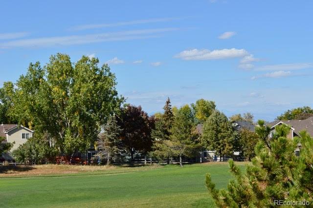 MLS Image #21 for 13321  franklin street,thornton, Colorado