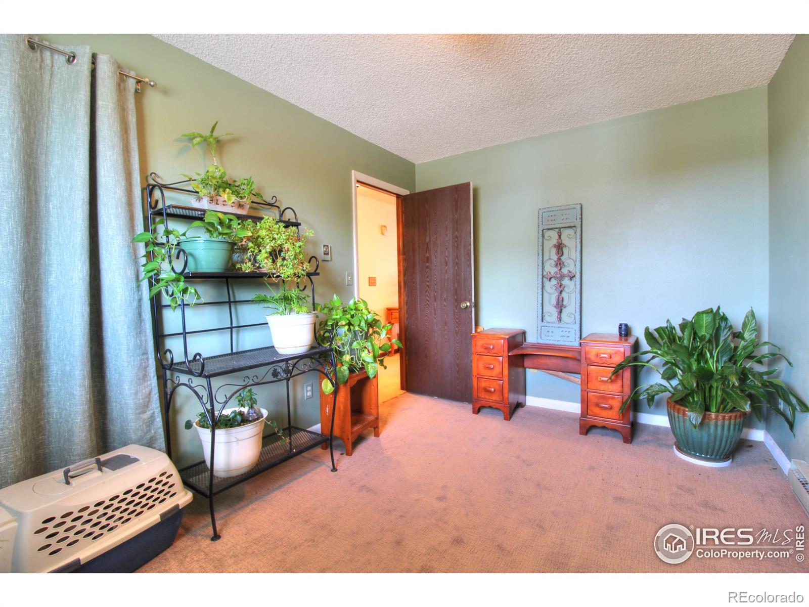 MLS Image #19 for 6001  poplar street,bellvue, Colorado