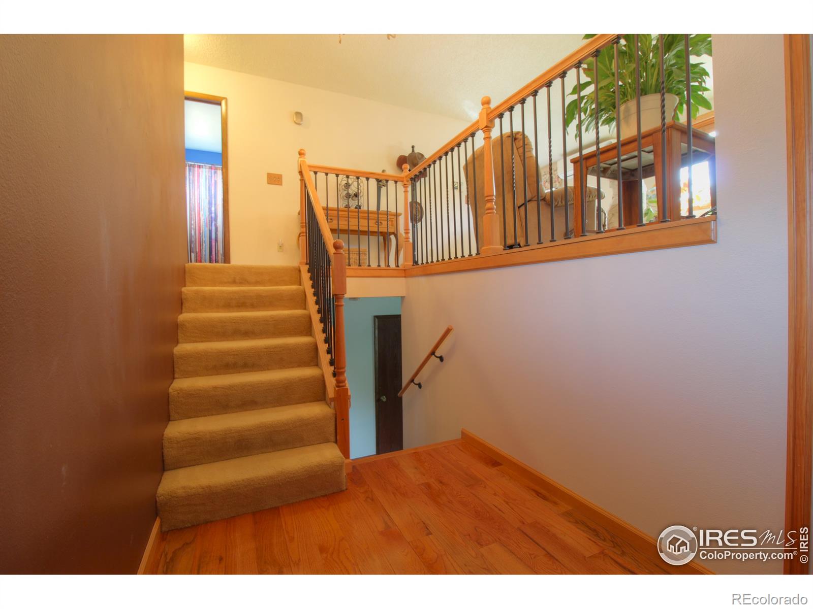 MLS Image #2 for 6001  poplar street,bellvue, Colorado