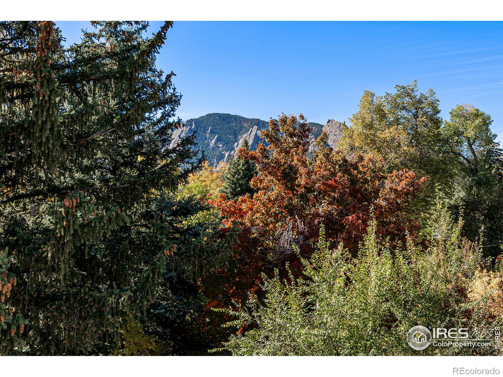 MLS Image #29 for 437  18th street,boulder, Colorado