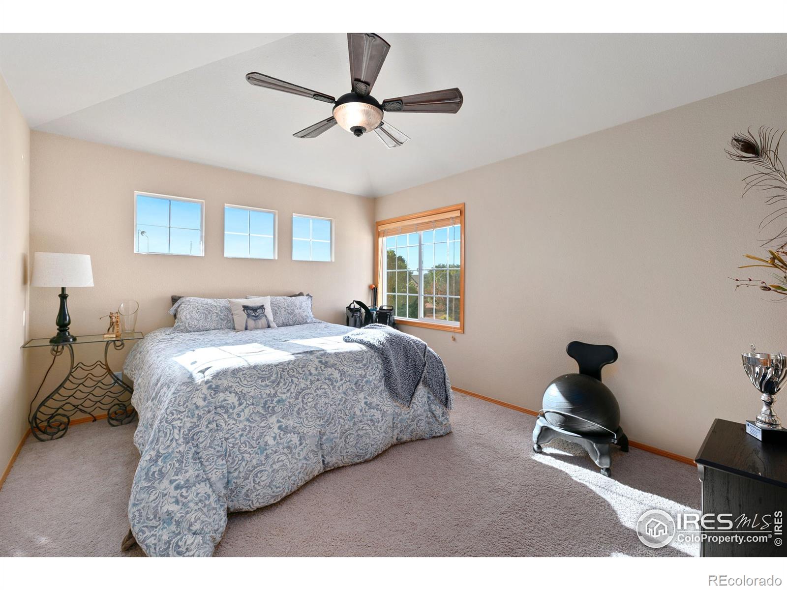 MLS Image #29 for 8793  longs peak circle,windsor, Colorado