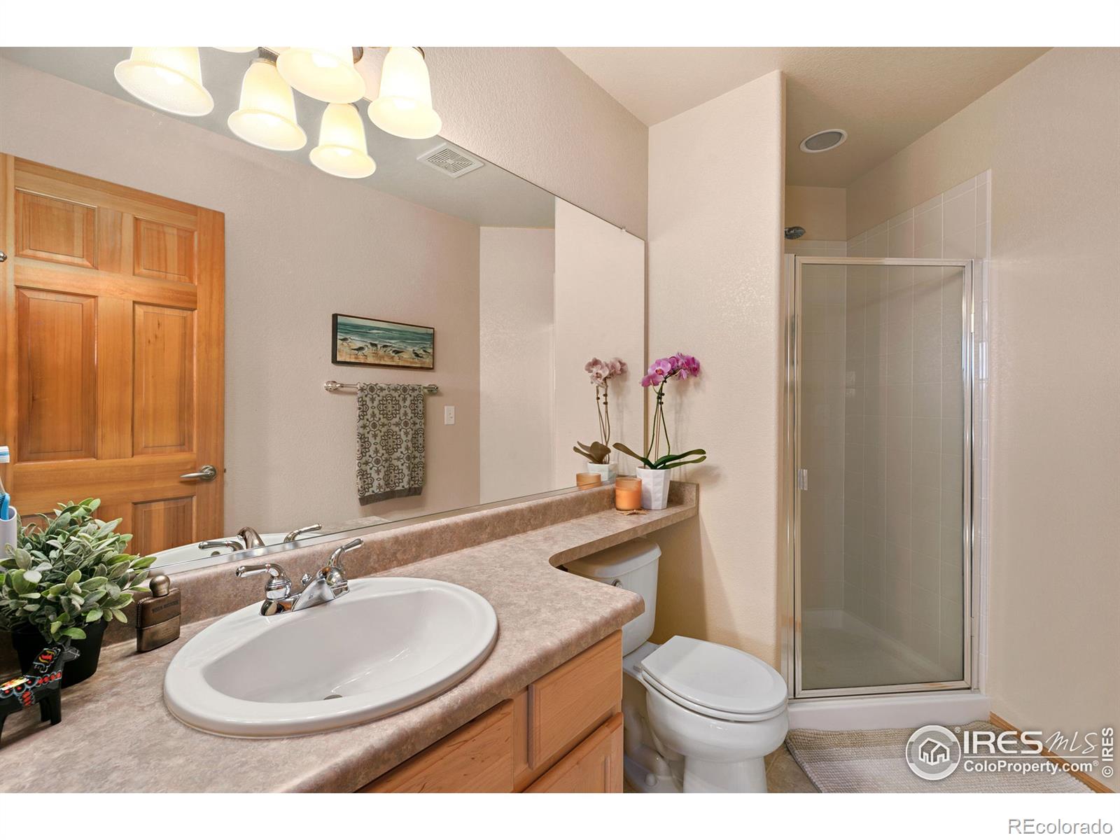 MLS Image #30 for 8793  longs peak circle,windsor, Colorado