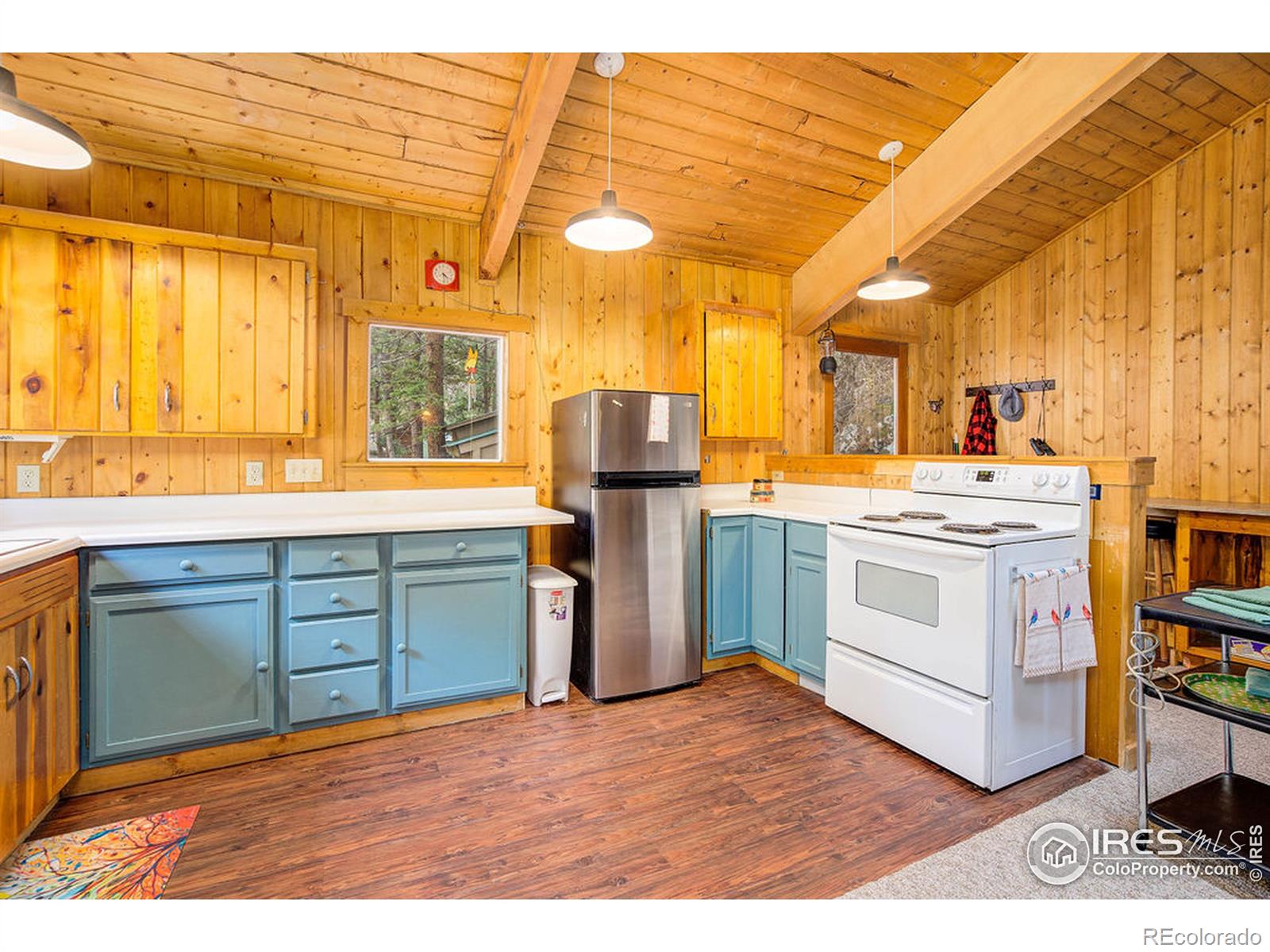 MLS Image #17 for 19  rainbow trout lane,drake, Colorado