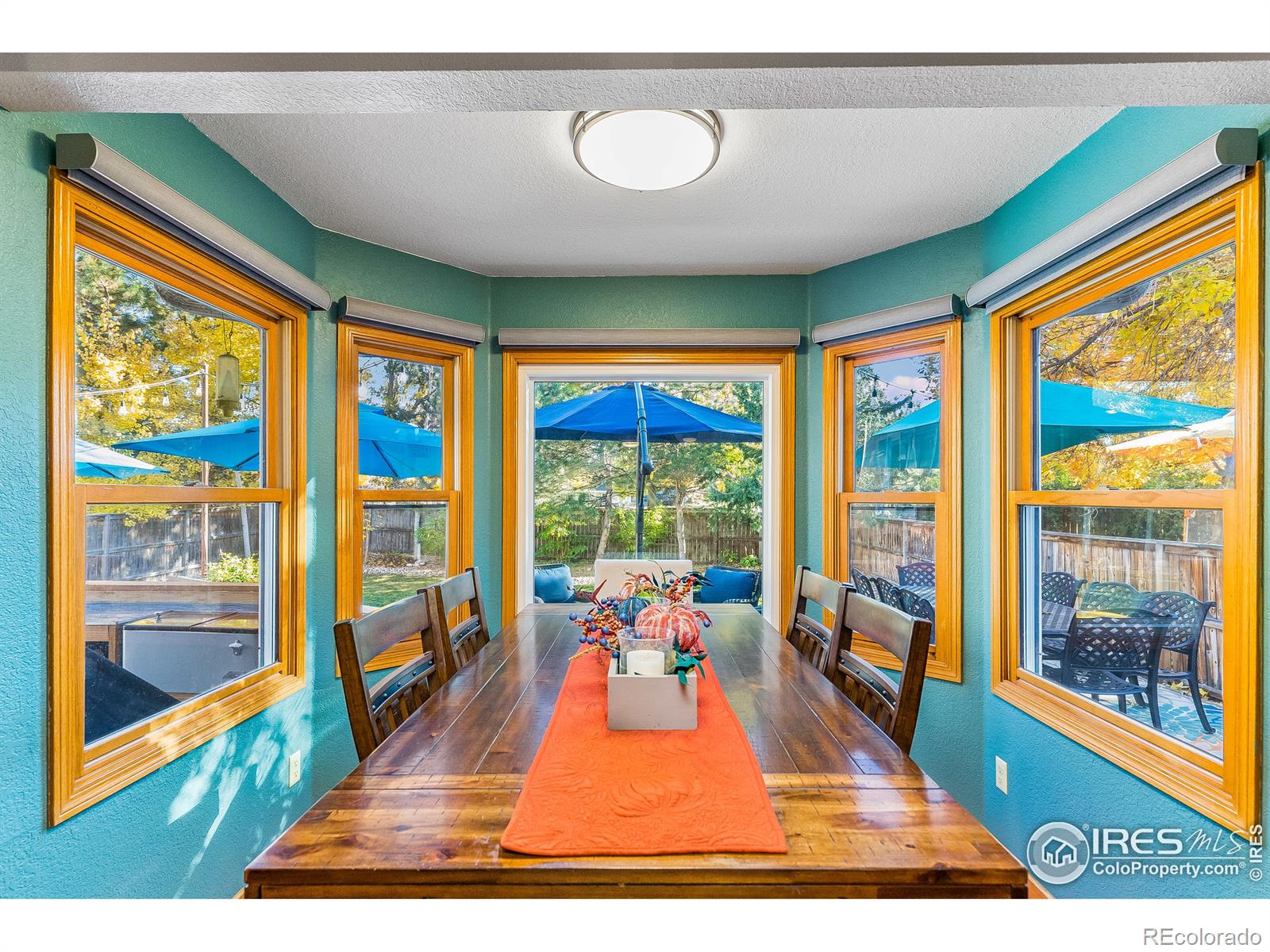 MLS Image #13 for 1407  sanford drive,fort collins, Colorado