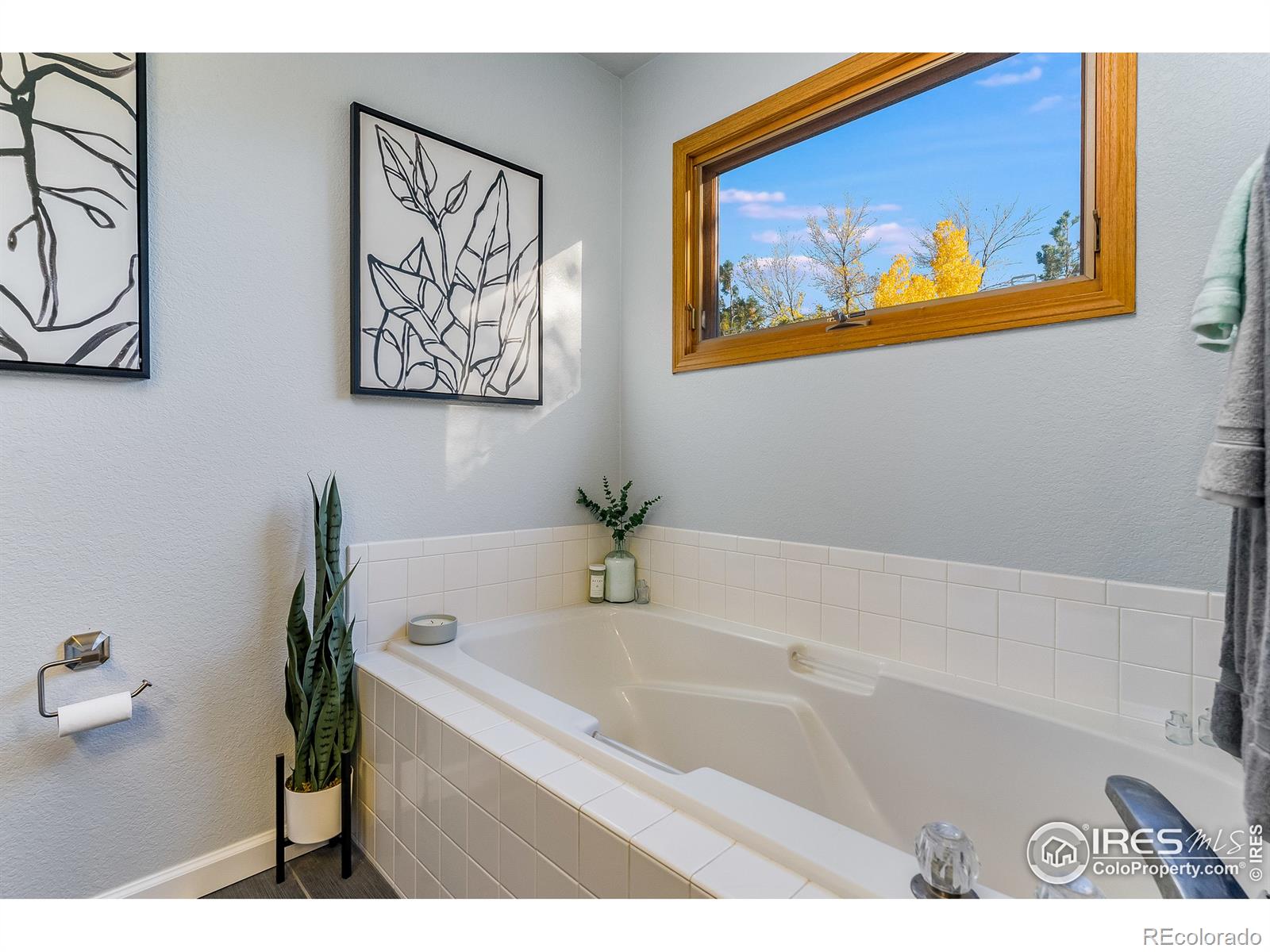 MLS Image #22 for 1407  sanford drive,fort collins, Colorado