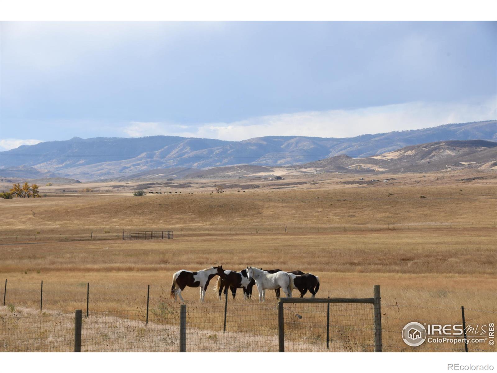 MLS Image #30 for 10380  miners lake road,fort collins, Colorado