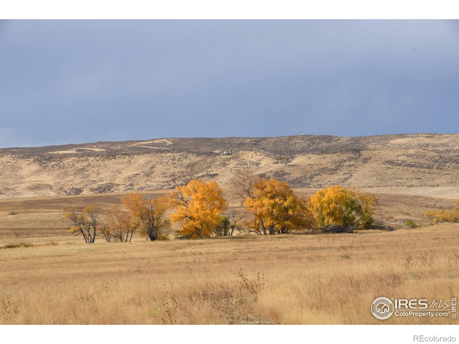 MLS Image #32 for 10380  miners lake road,fort collins, Colorado