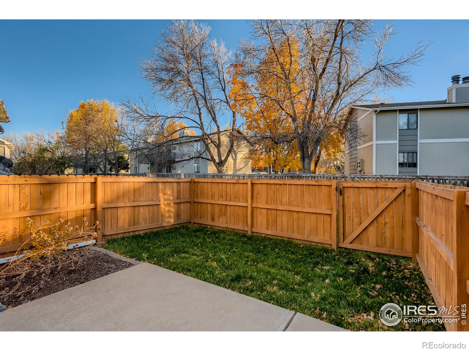 MLS Image #28 for 357  albion way,fort collins, Colorado