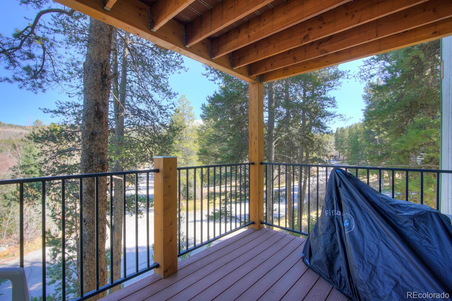 MLS Image #21 for 110  now colorado court,breckenridge, Colorado