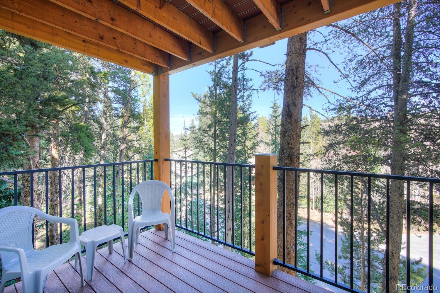 MLS Image #22 for 110  now colorado court,breckenridge, Colorado