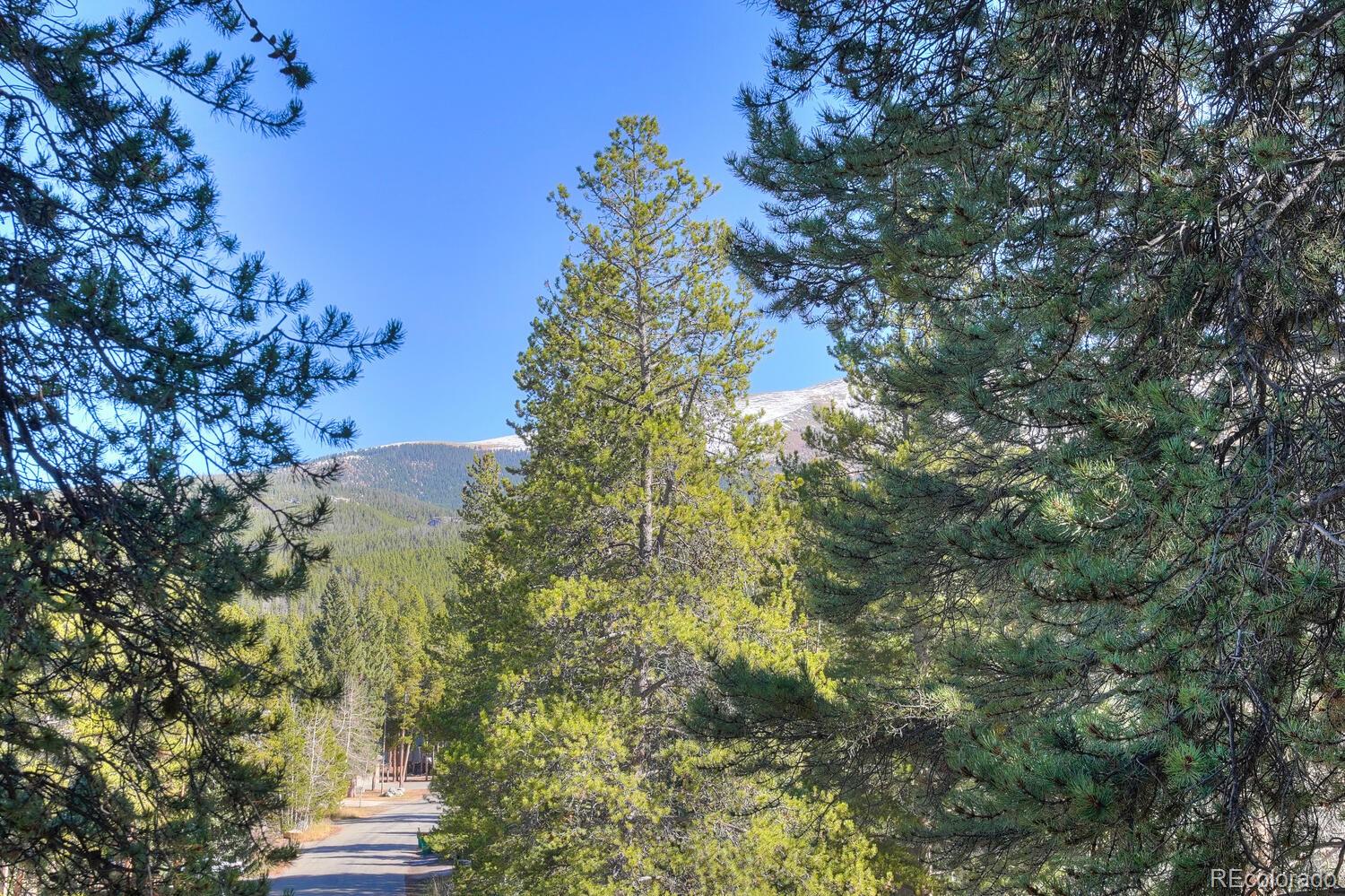 MLS Image #23 for 110  now colorado court,breckenridge, Colorado