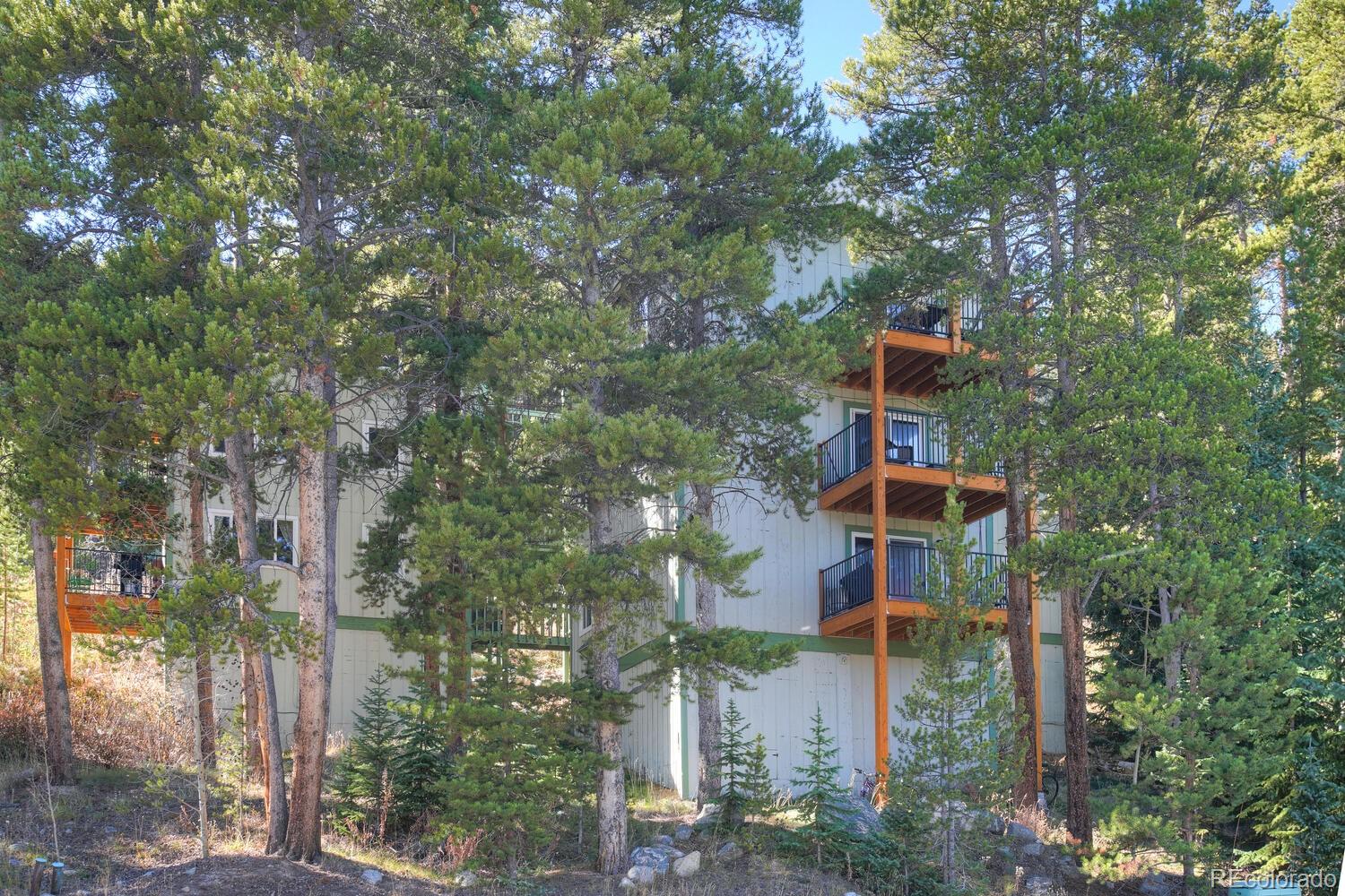 MLS Image #25 for 110  now colorado court,breckenridge, Colorado