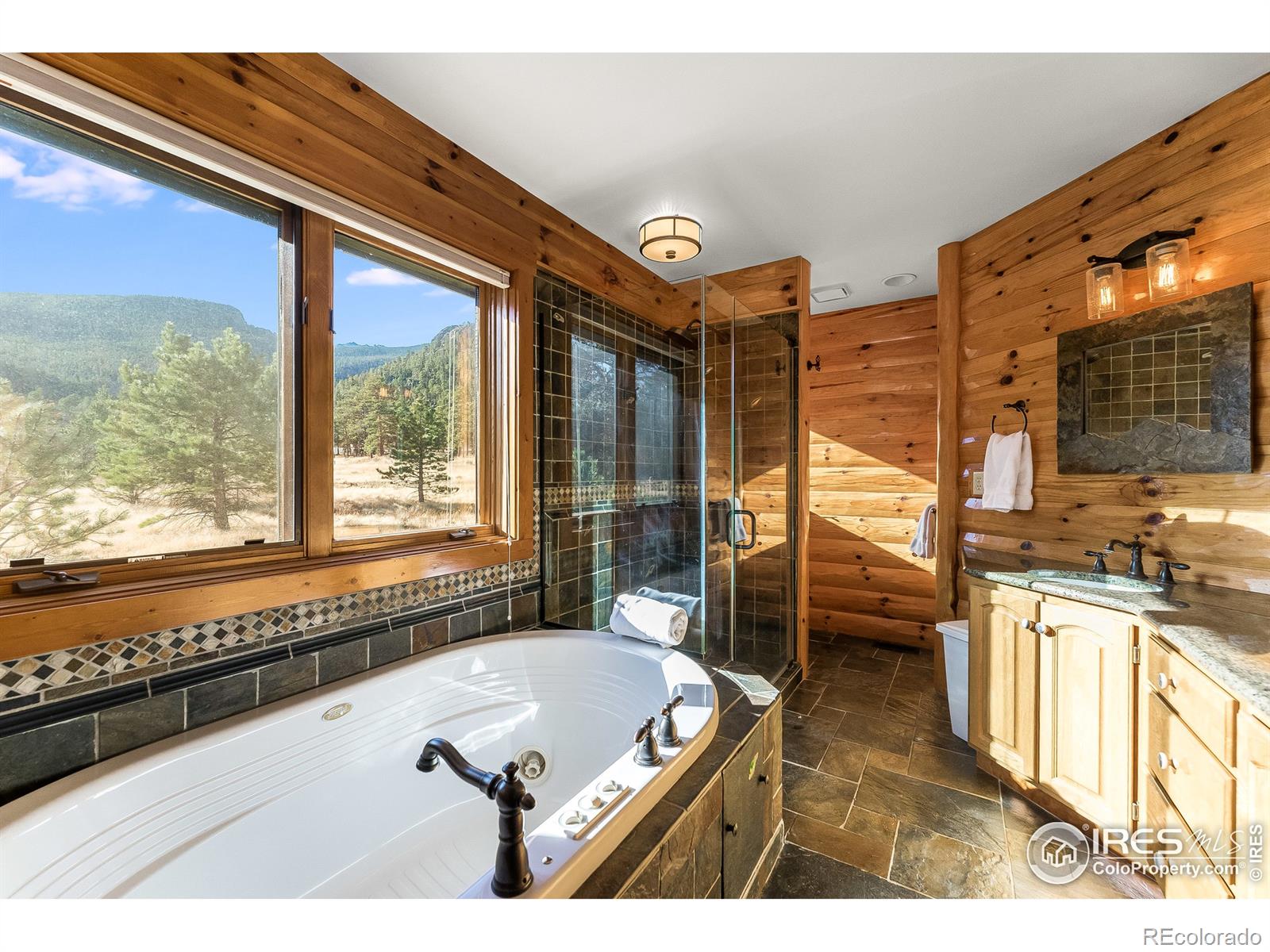 MLS Image #17 for 825  rockwood lane,estes park, Colorado