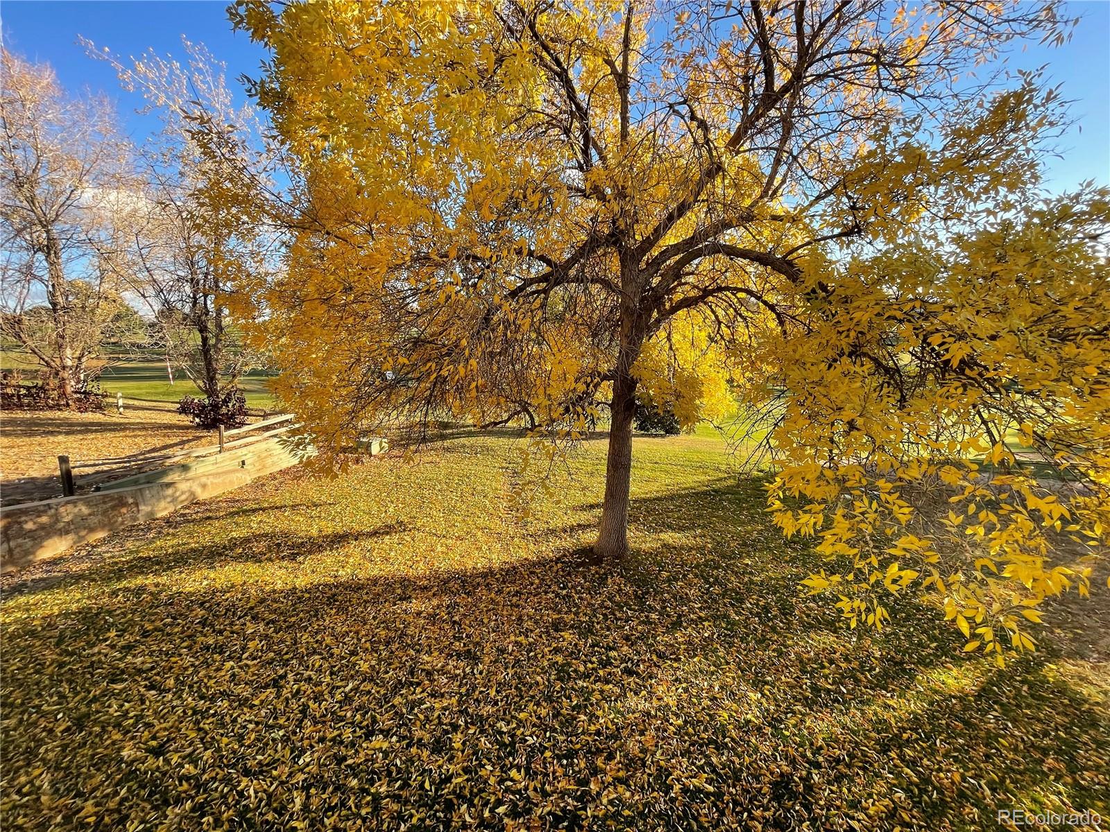 MLS Image #27 for 2247 w 118th avenue,westminster, Colorado