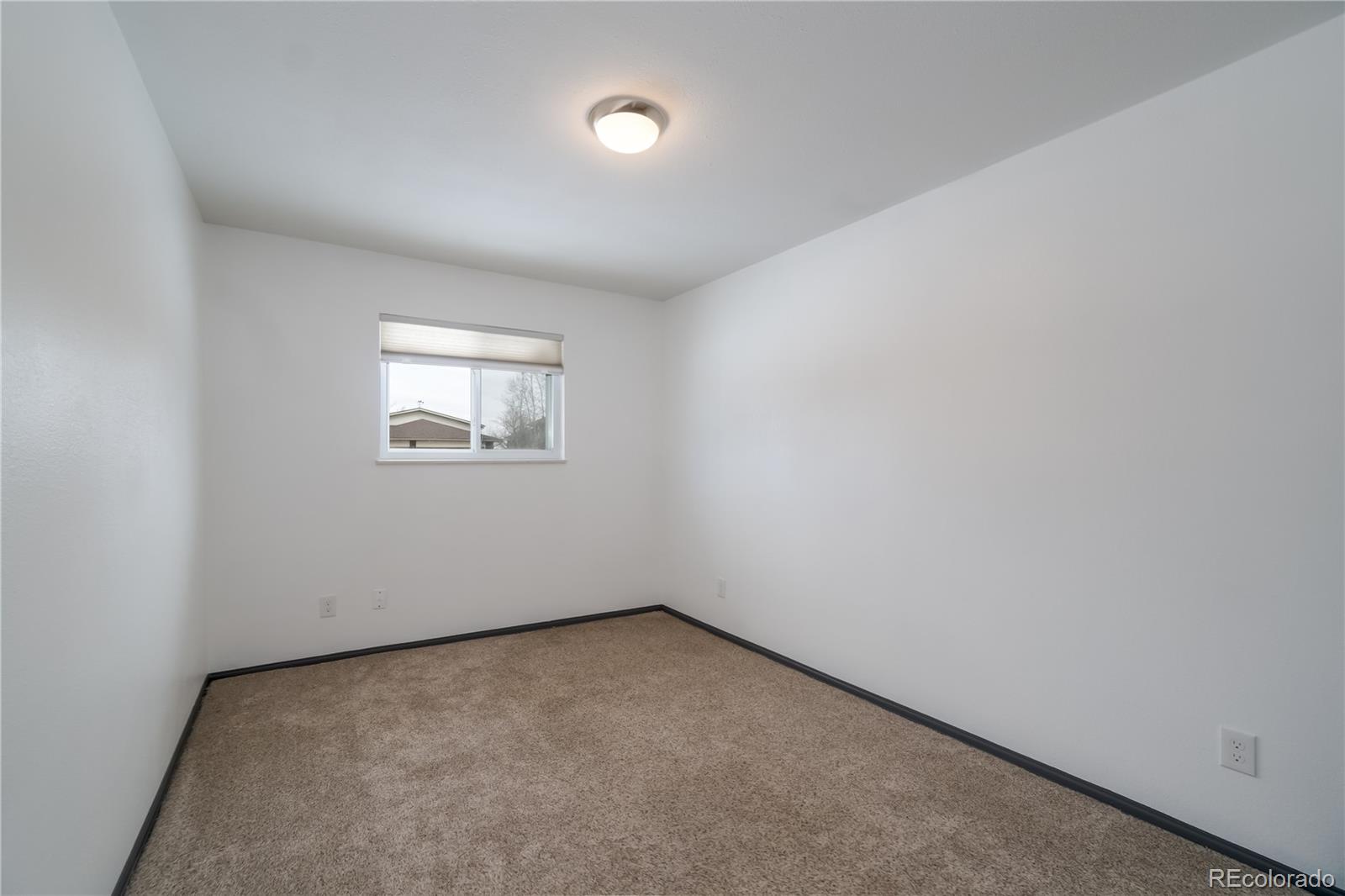 MLS Image #21 for 4208  red bird place,loveland, Colorado