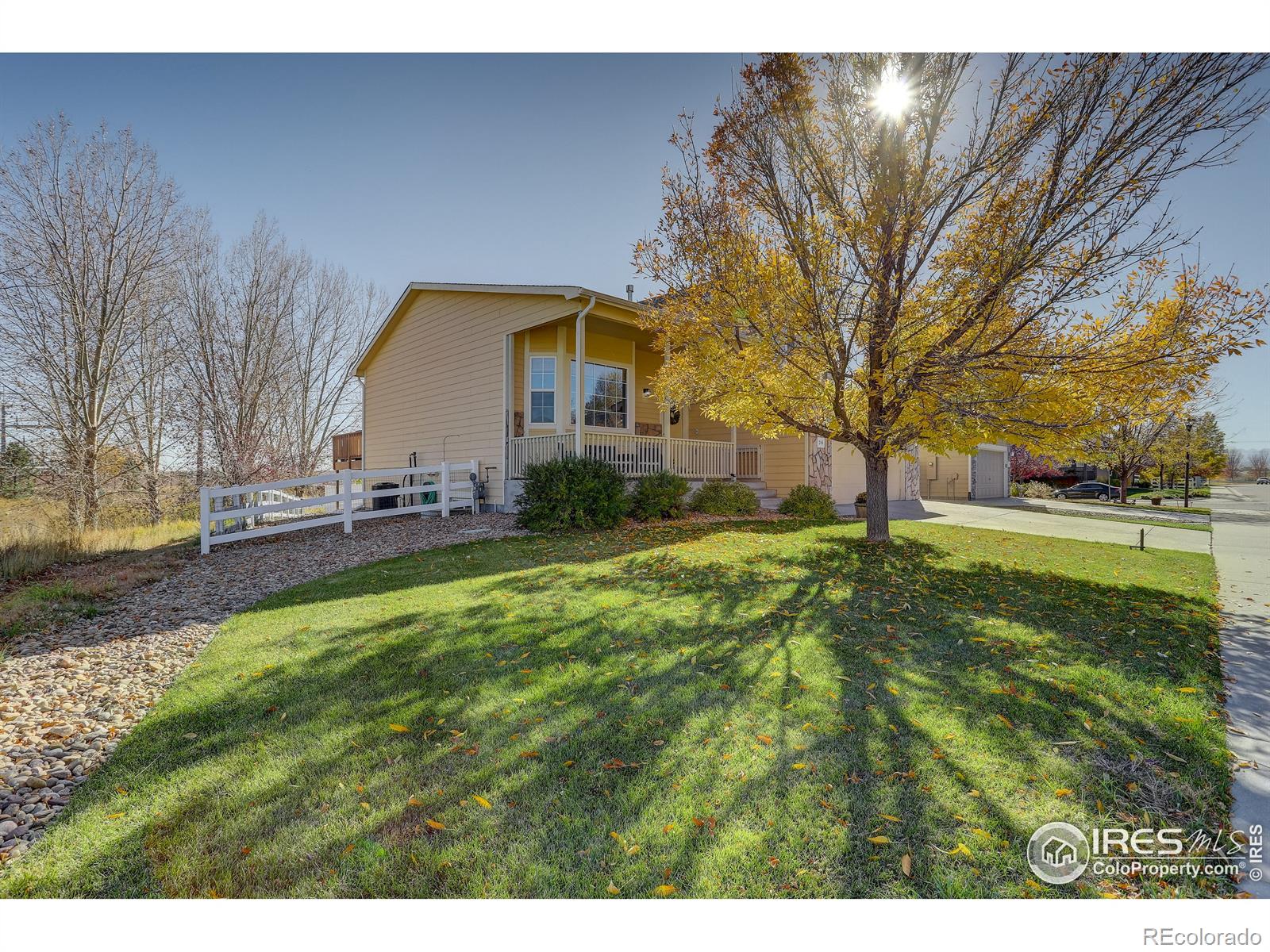 Report Image for 286  Wrybill Avenue,Loveland, Colorado