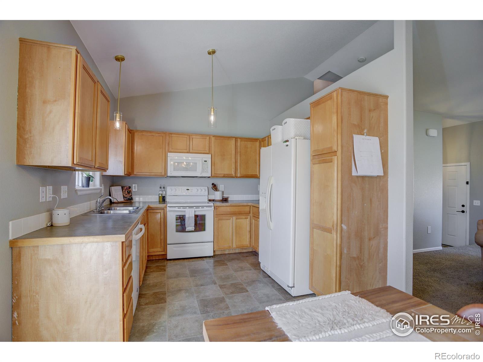 MLS Image #10 for 286  wrybill avenue,loveland, Colorado