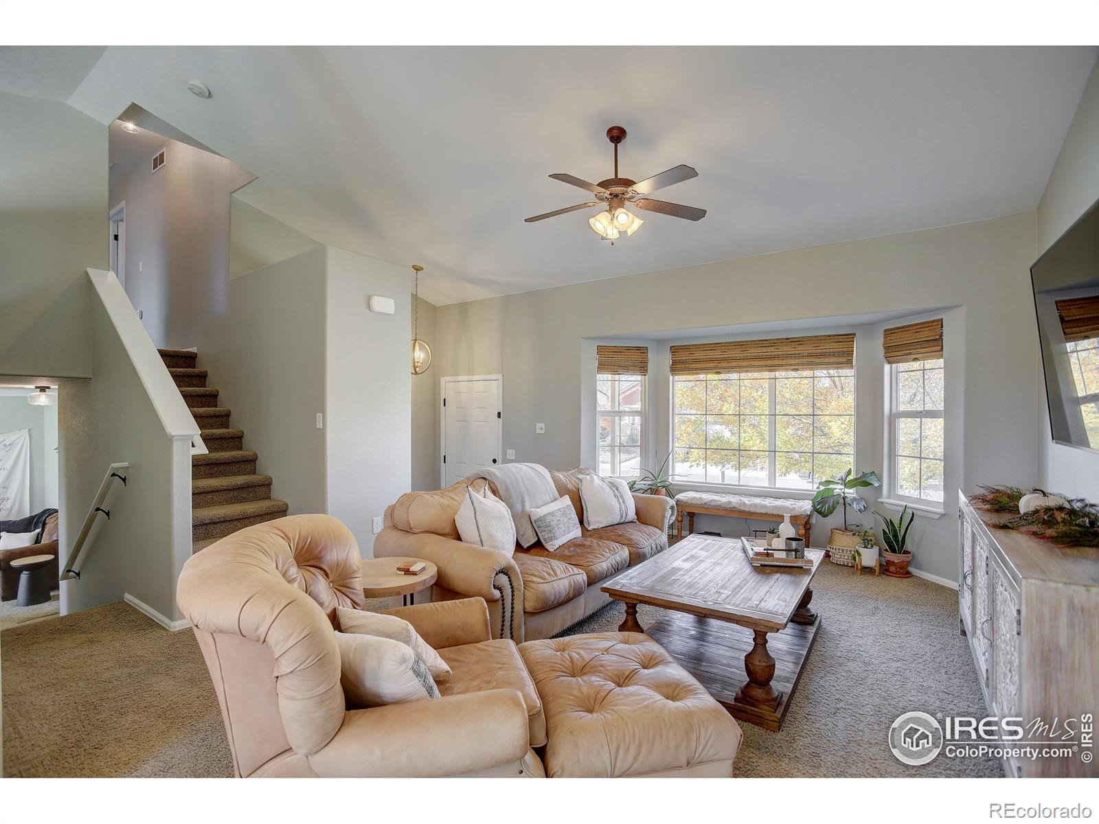 MLS Image #8 for 286  wrybill avenue,loveland, Colorado