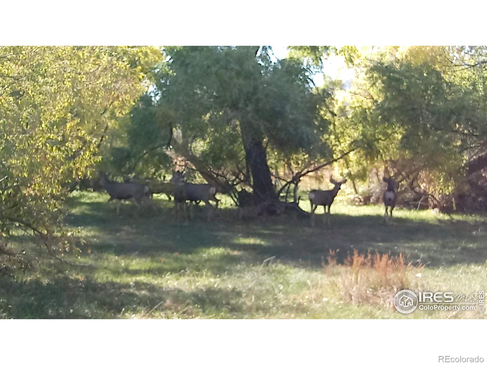 MLS Image #7 for 3900  buckskin trail,laporte, Colorado