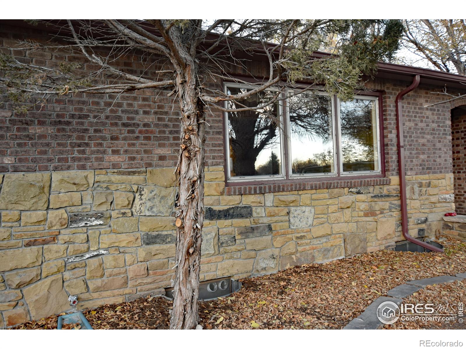 MLS Image #1 for 2336 w prospect road,fort collins, Colorado