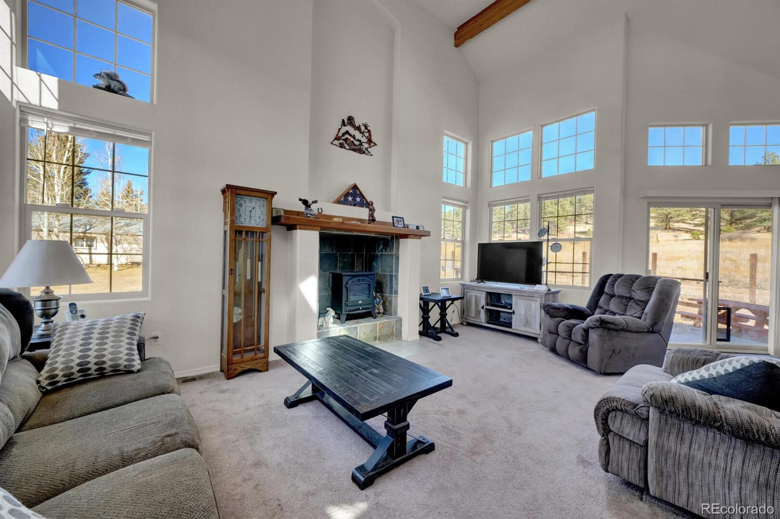 MLS Image #10 for 90  navajo avenue,lake george, Colorado