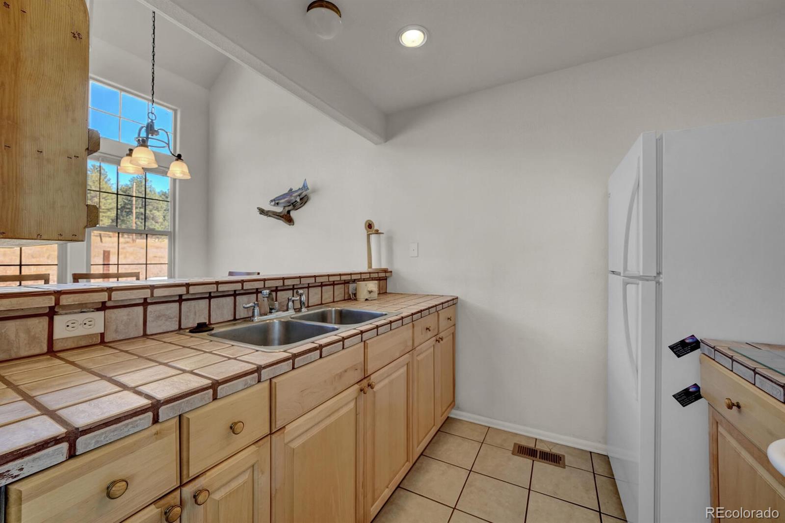 MLS Image #14 for 90  navajo avenue,lake george, Colorado