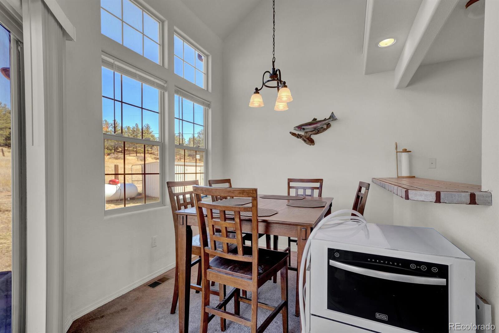 MLS Image #17 for 90  navajo avenue,lake george, Colorado