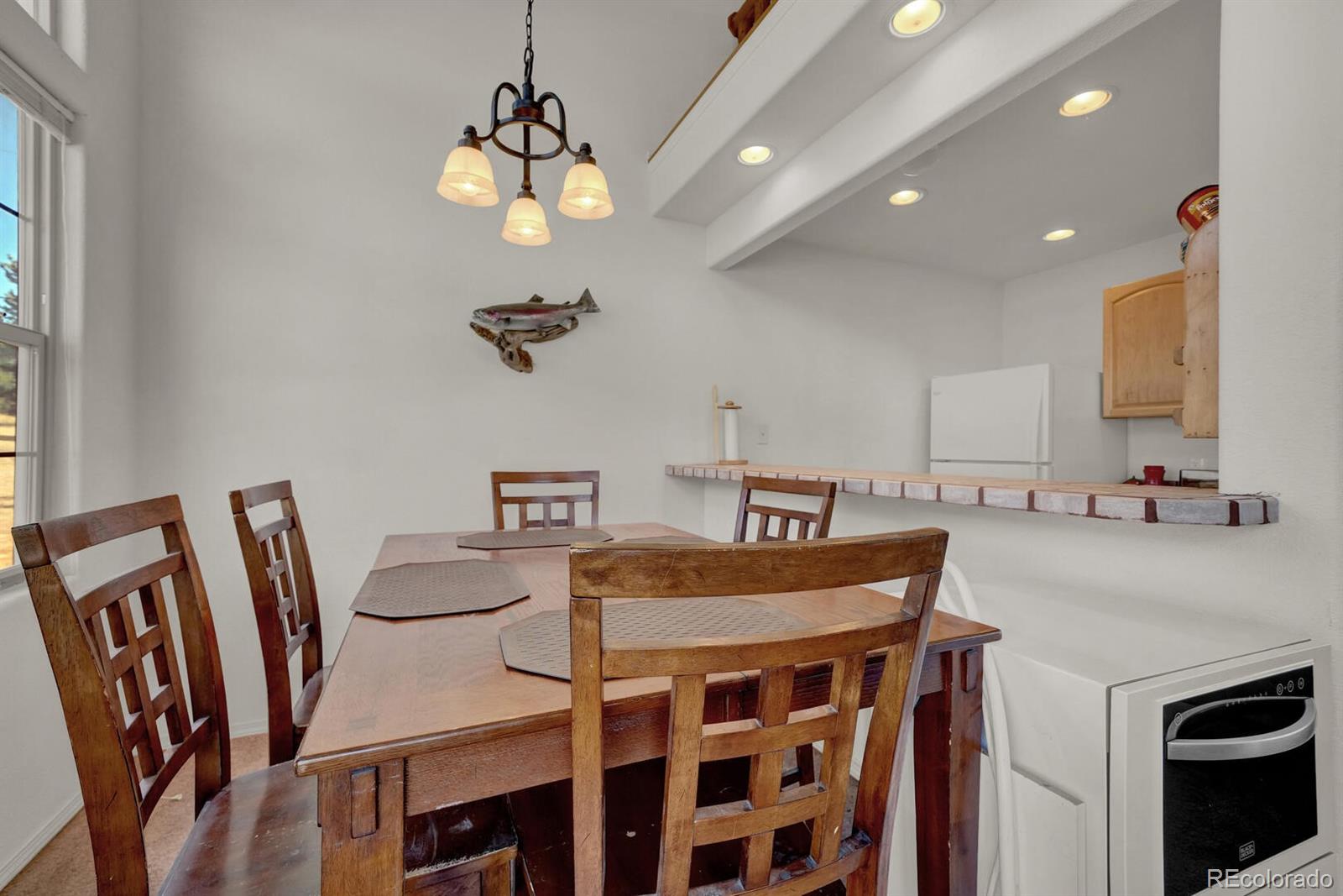 MLS Image #18 for 90  navajo avenue,lake george, Colorado