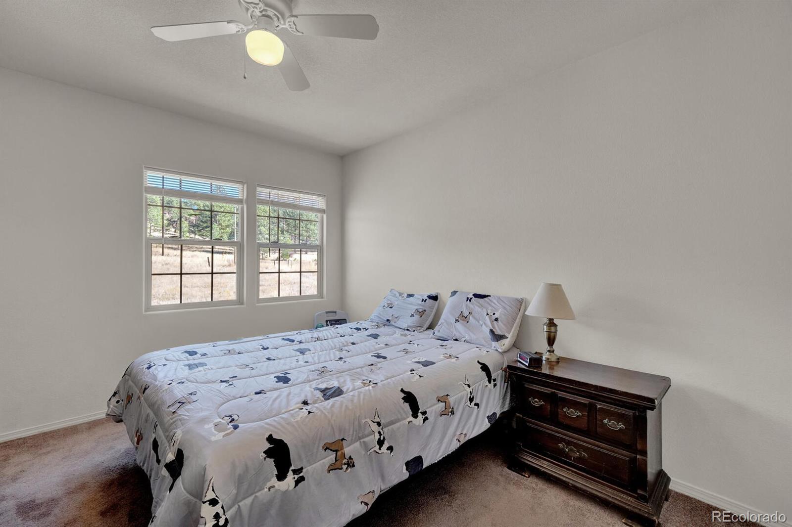 MLS Image #22 for 90  navajo avenue,lake george, Colorado