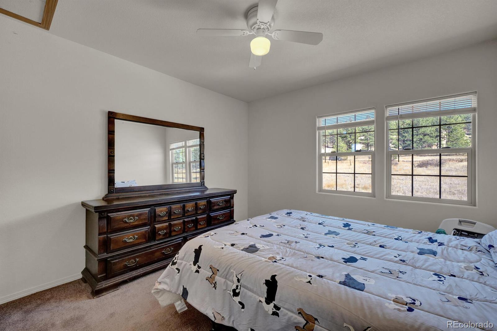 MLS Image #26 for 90  navajo avenue,lake george, Colorado